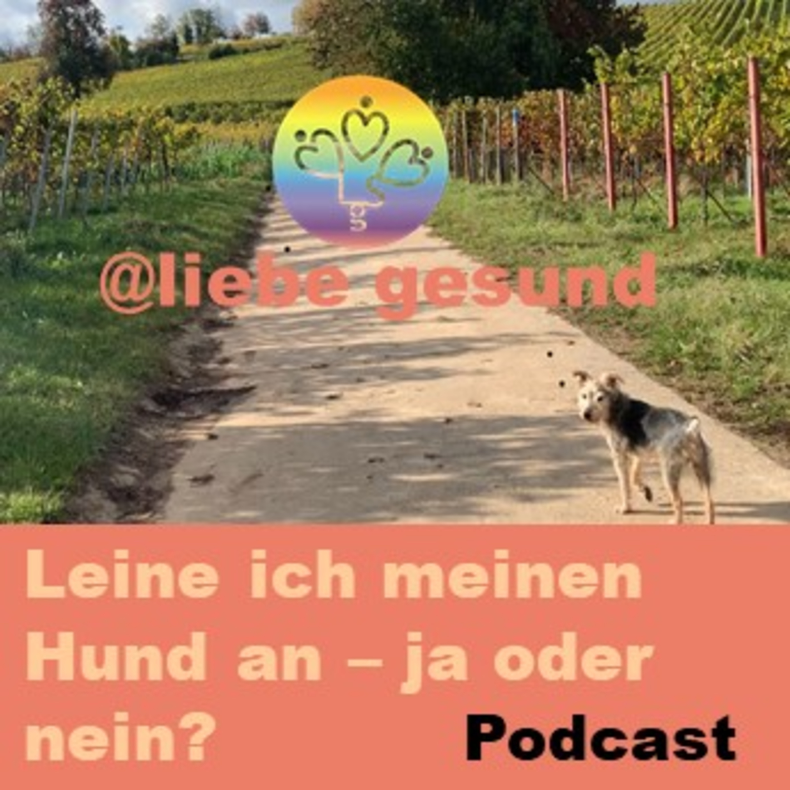 Liebe gesund