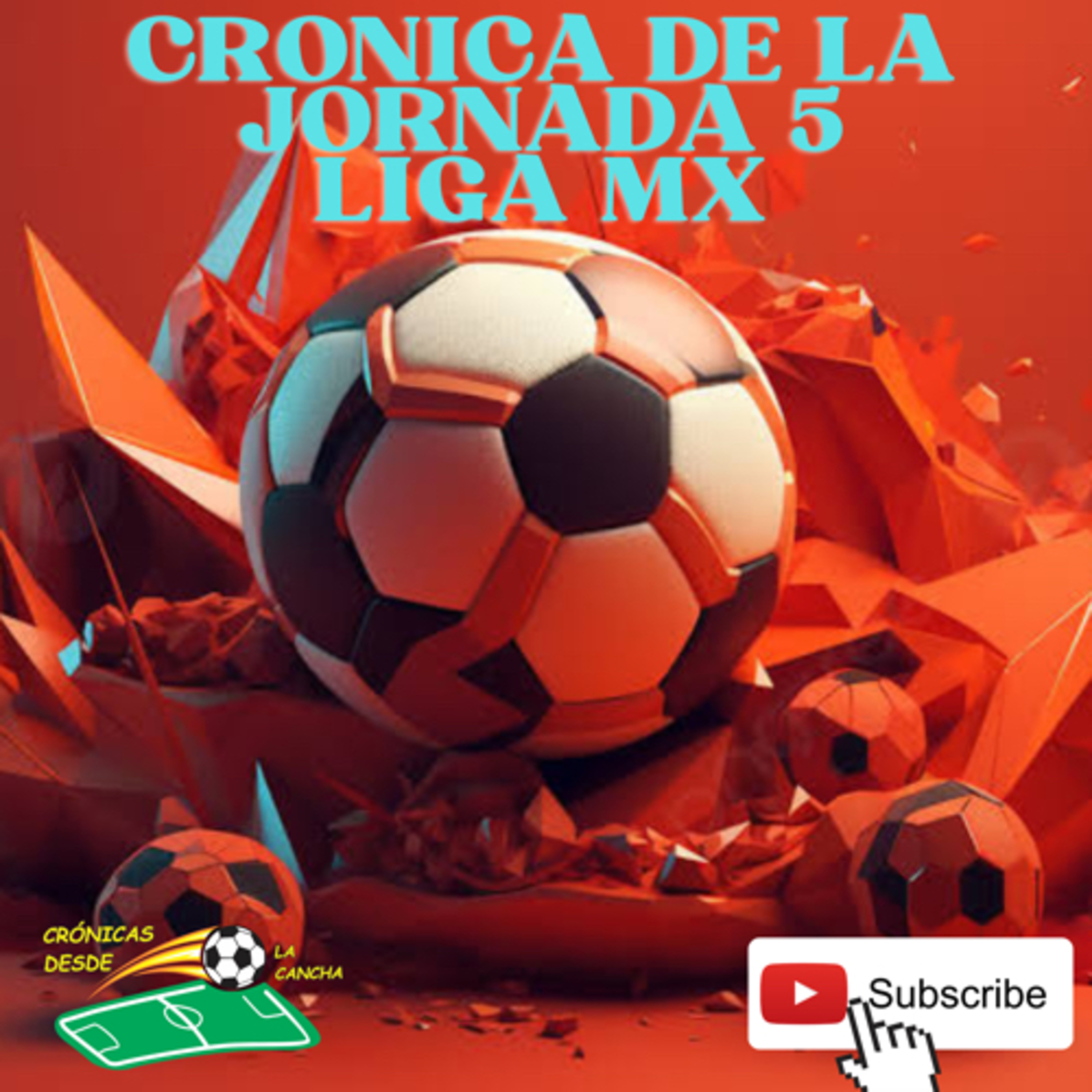 Cronicas Desde la Cancha