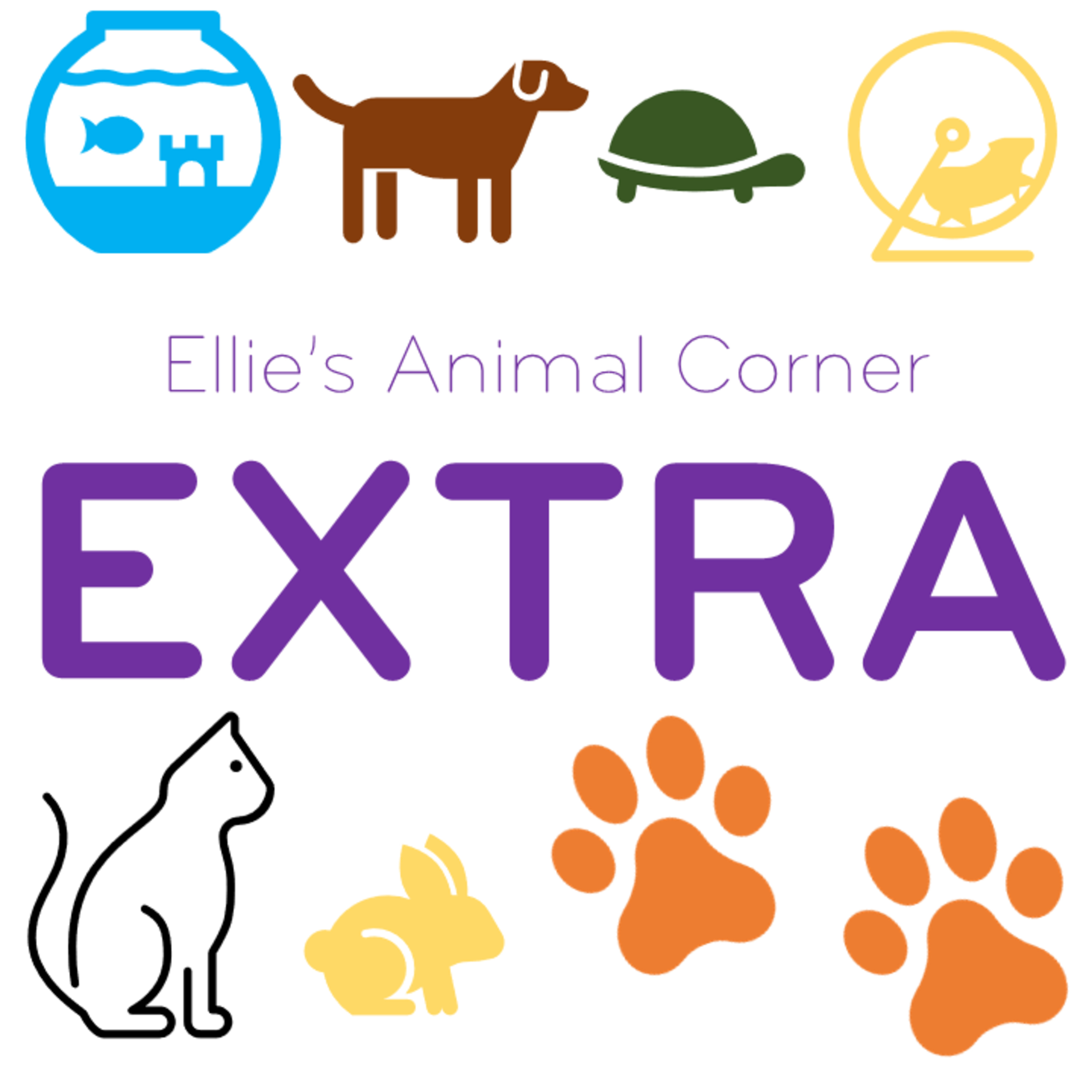 Sports Weekly Newsroom