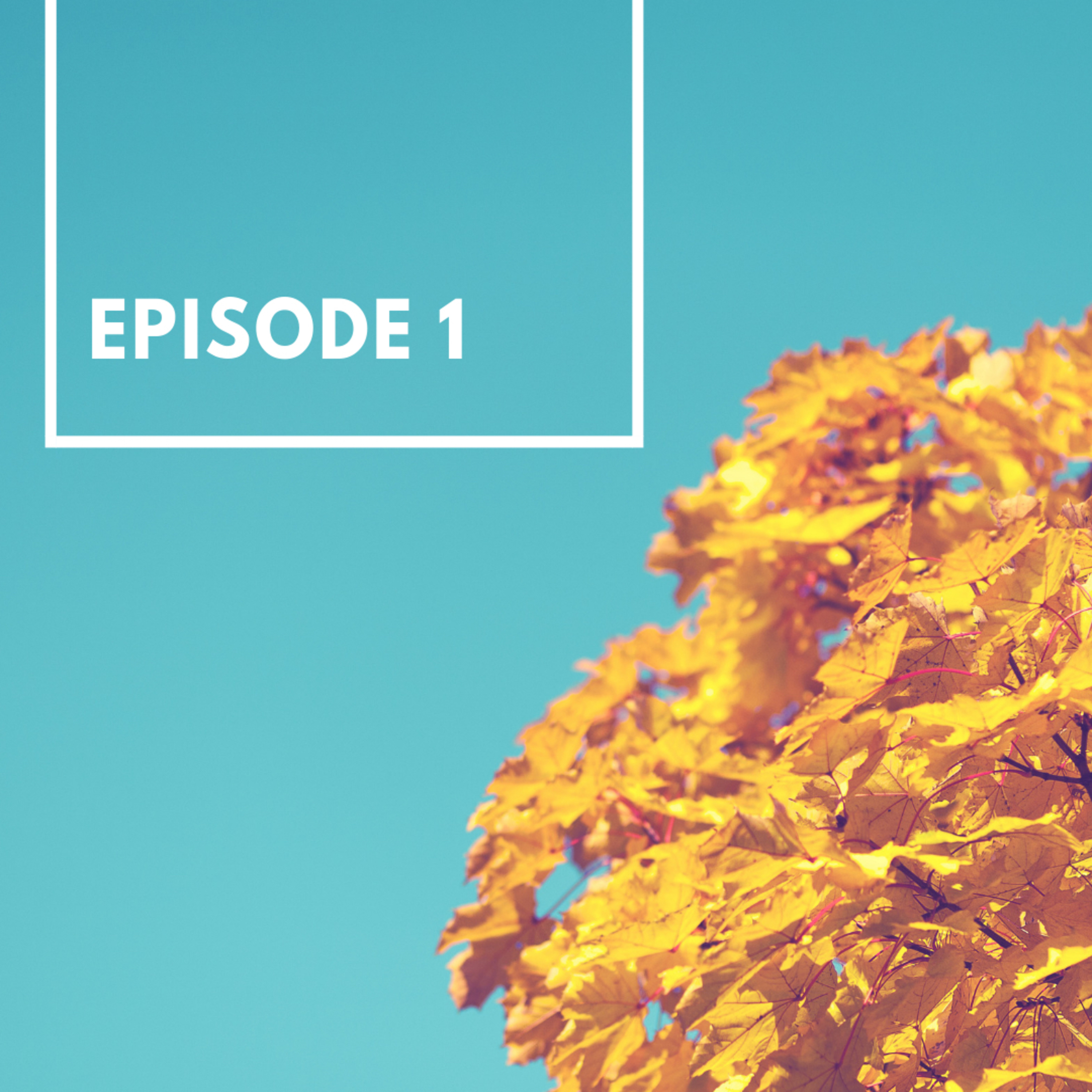 Episode 1 episode artwork