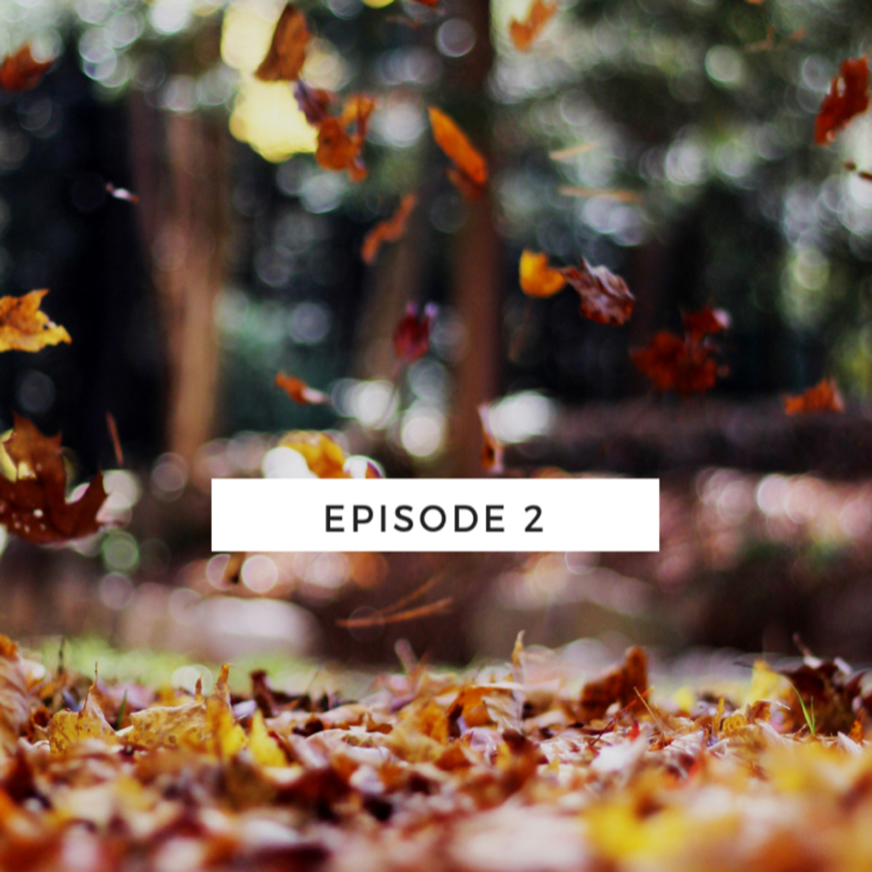 Episode 2 episode artwork