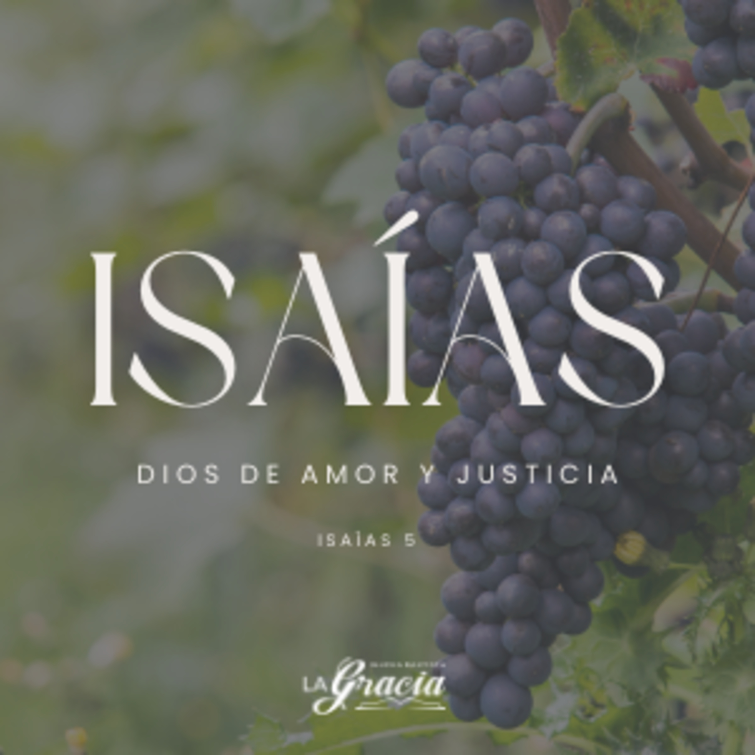 Portada de Iglesia Bautista La Gracia