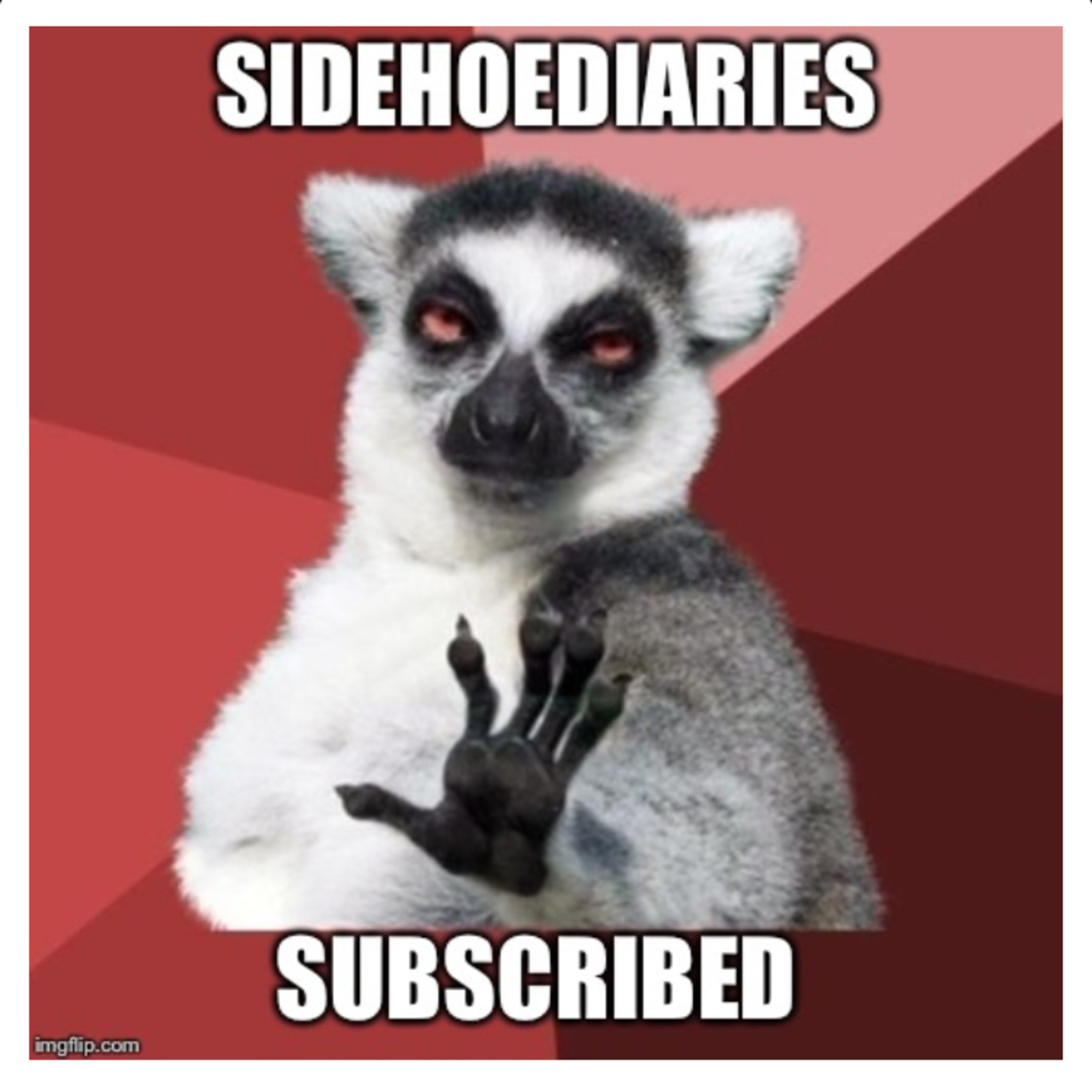Subject to vicissitudes  episode artwork