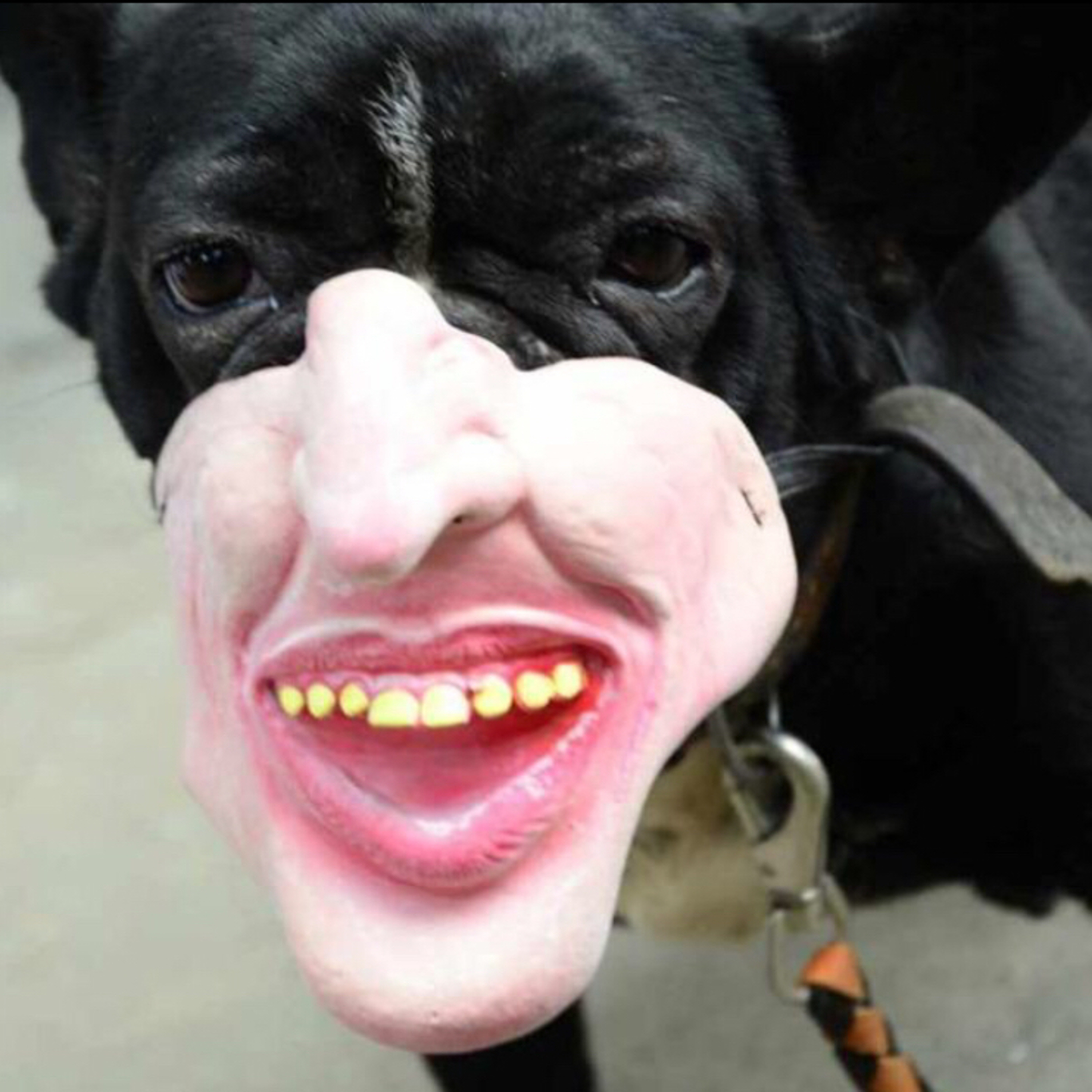 Always dropping his dick  episode artwork