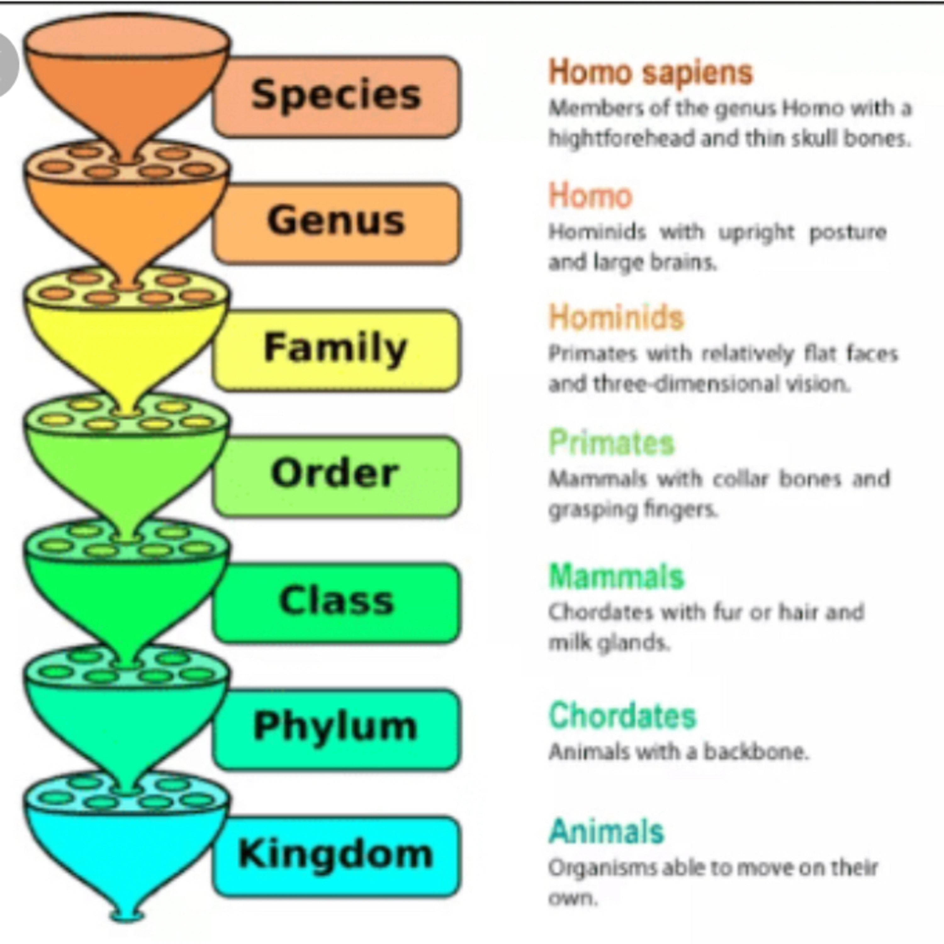 Not to be confused with Nomenclature  episode artwork