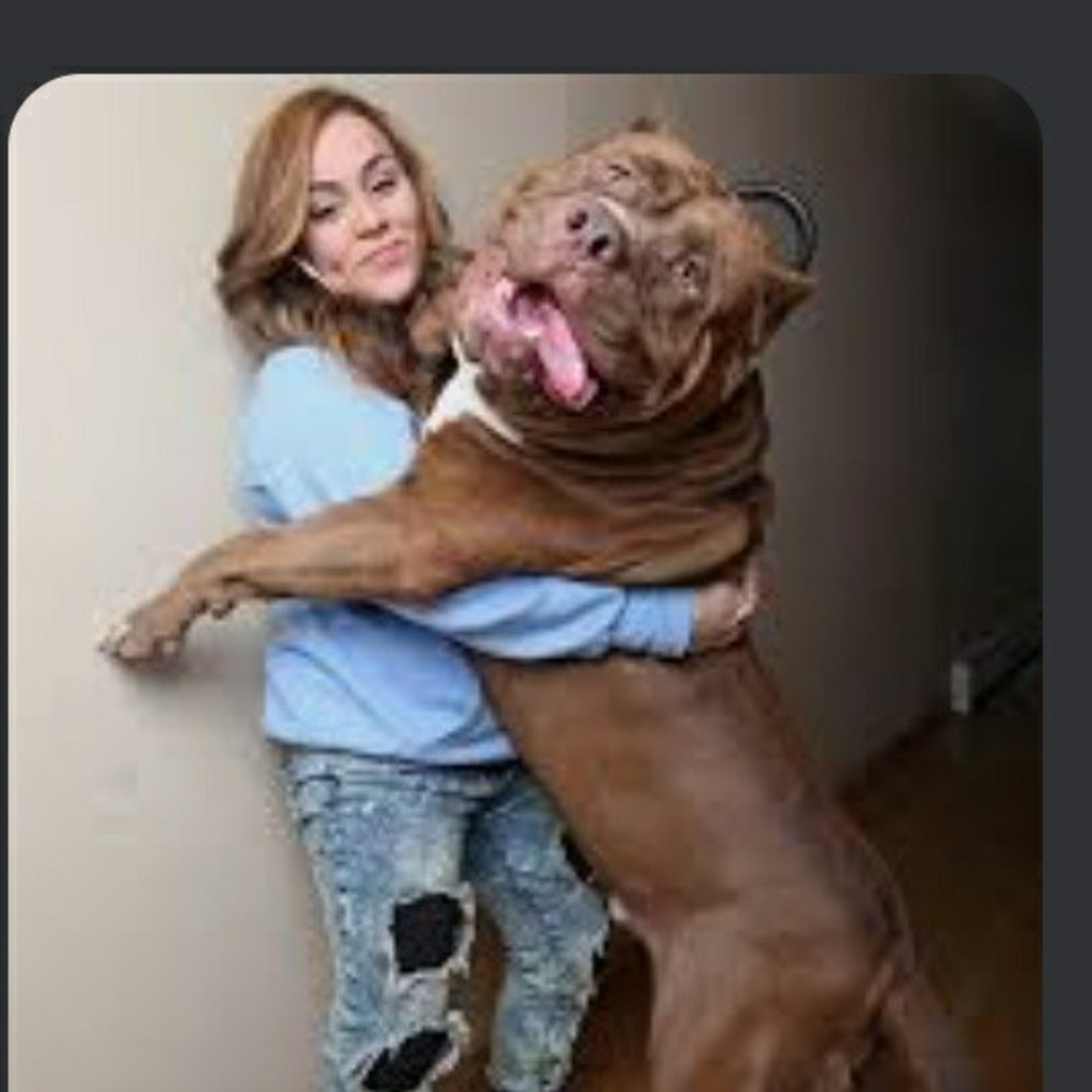 Is that the zombie apocalypse mascot  episode artwork