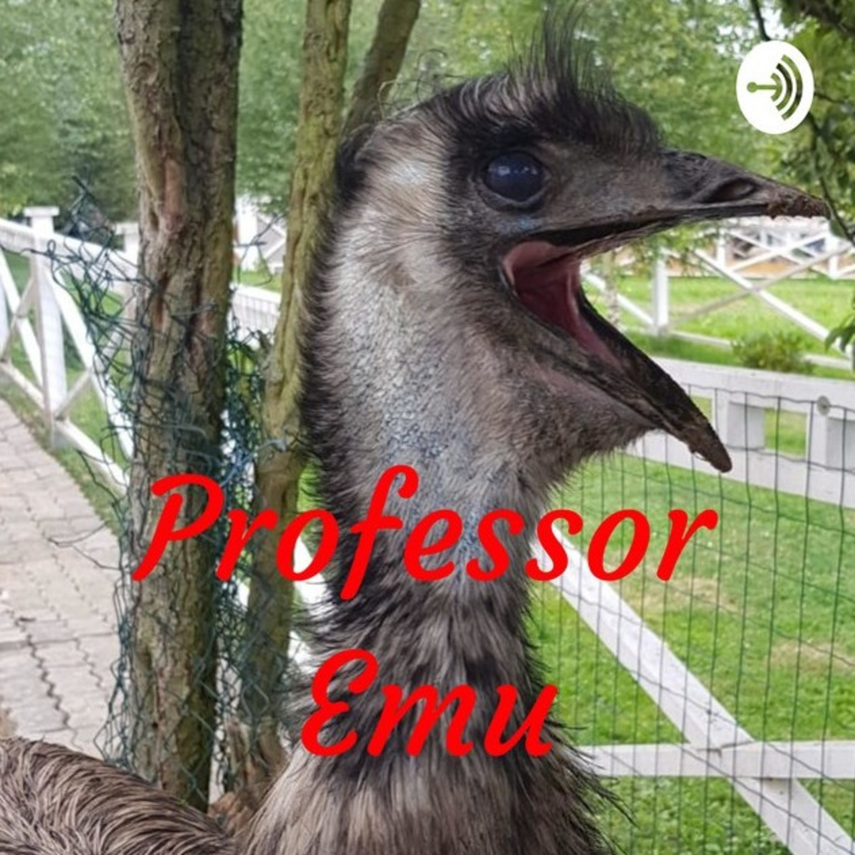 Professor- Emu