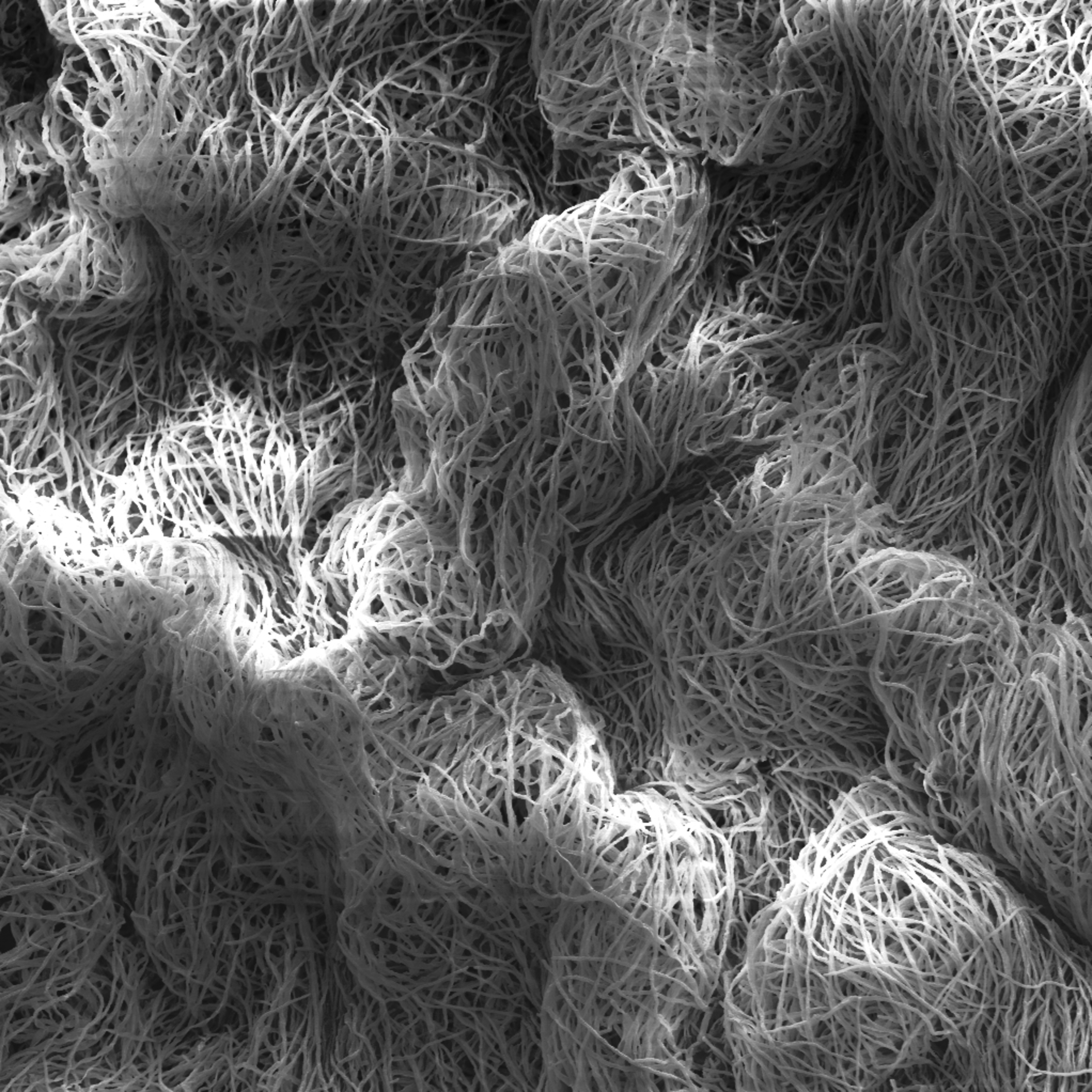Arte sob o Microscópio