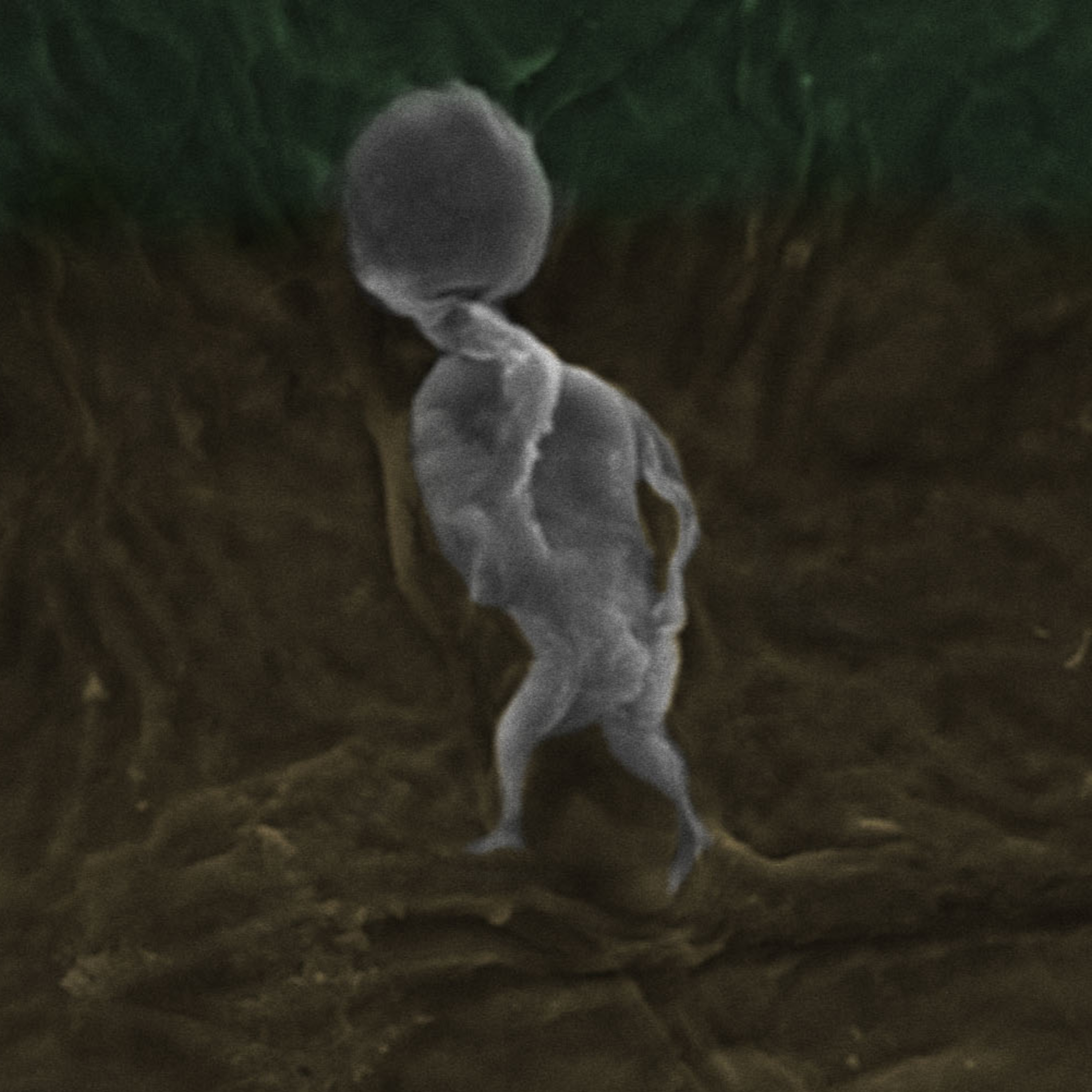 Arte sob o Microscópio