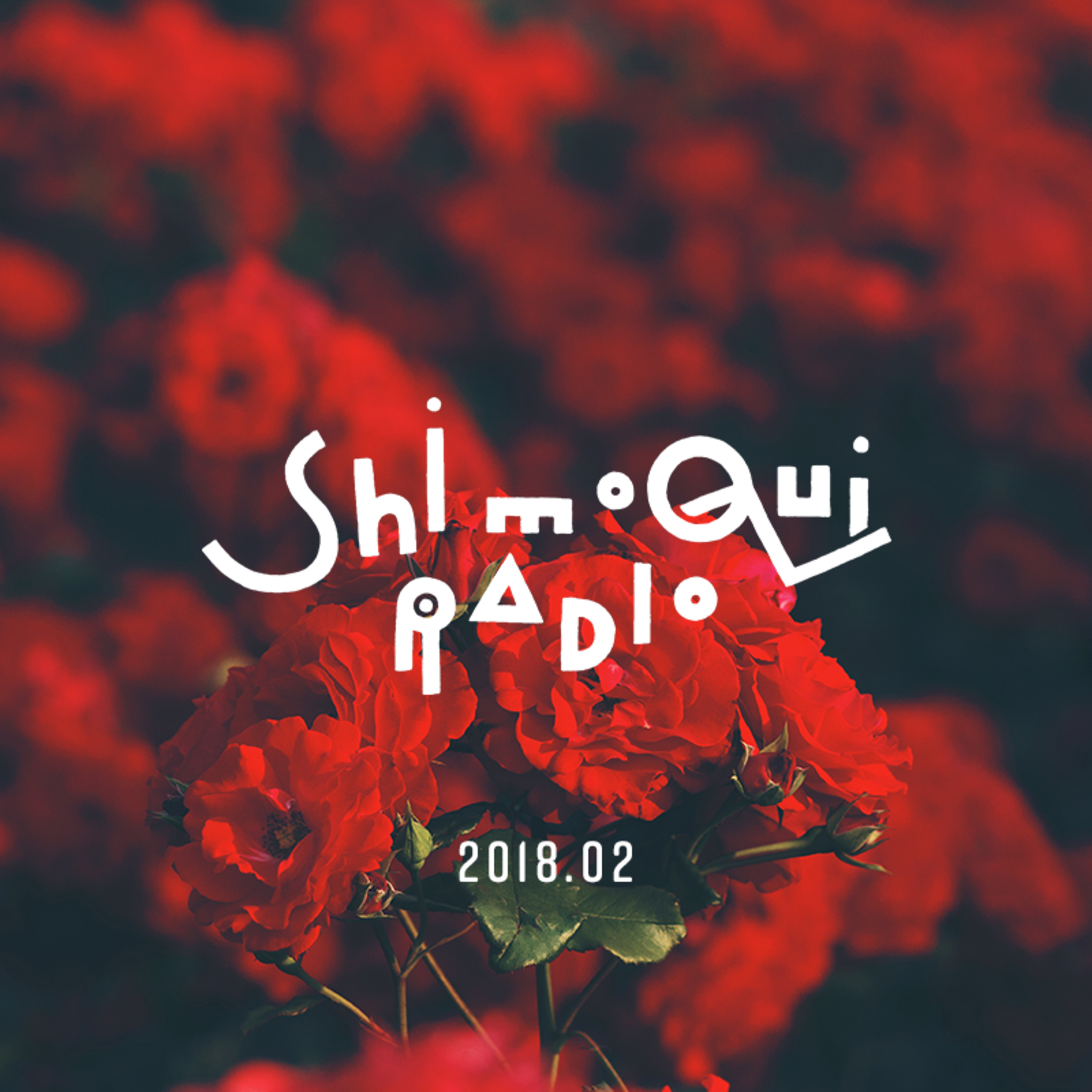 ShimoQuiRadio