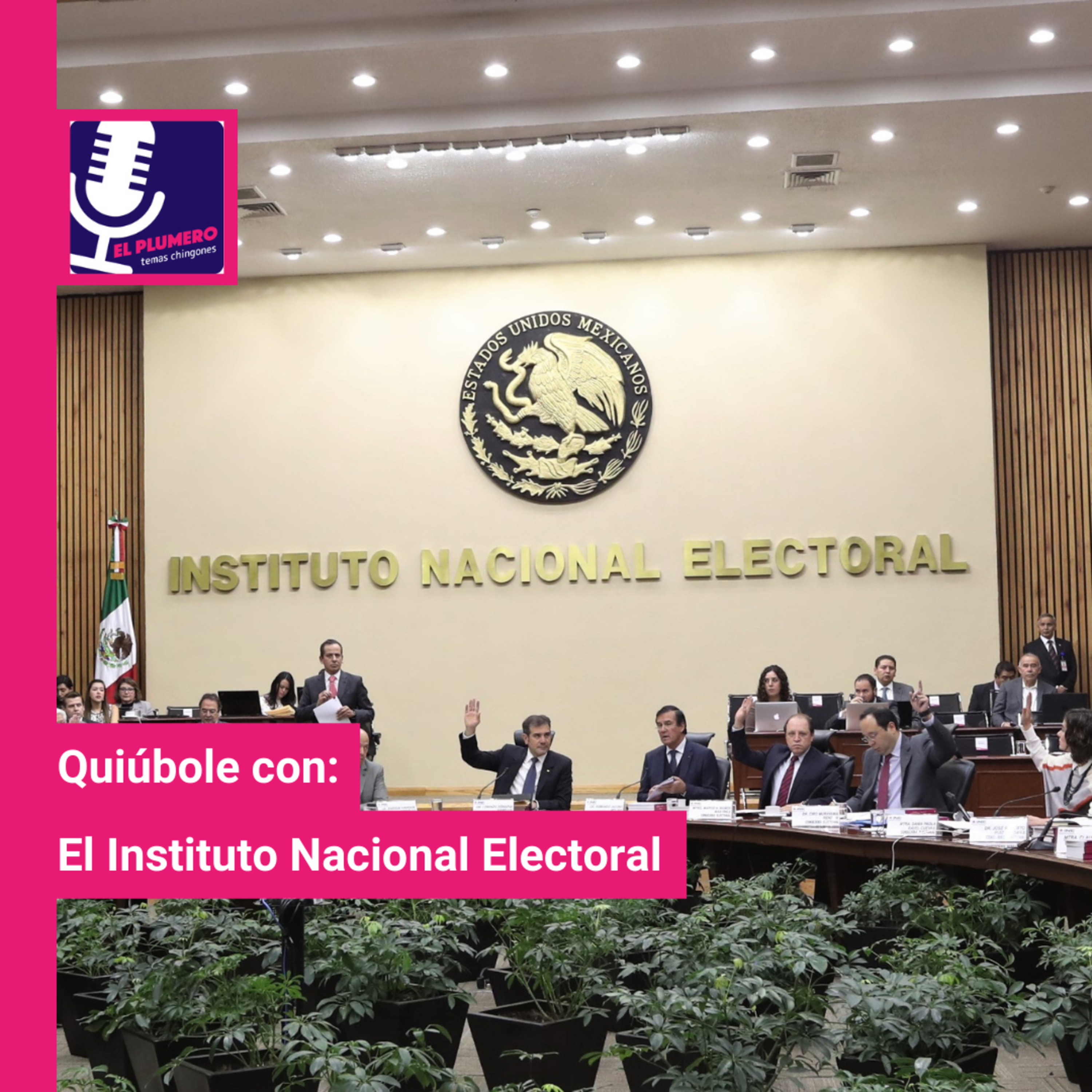 El Plumero