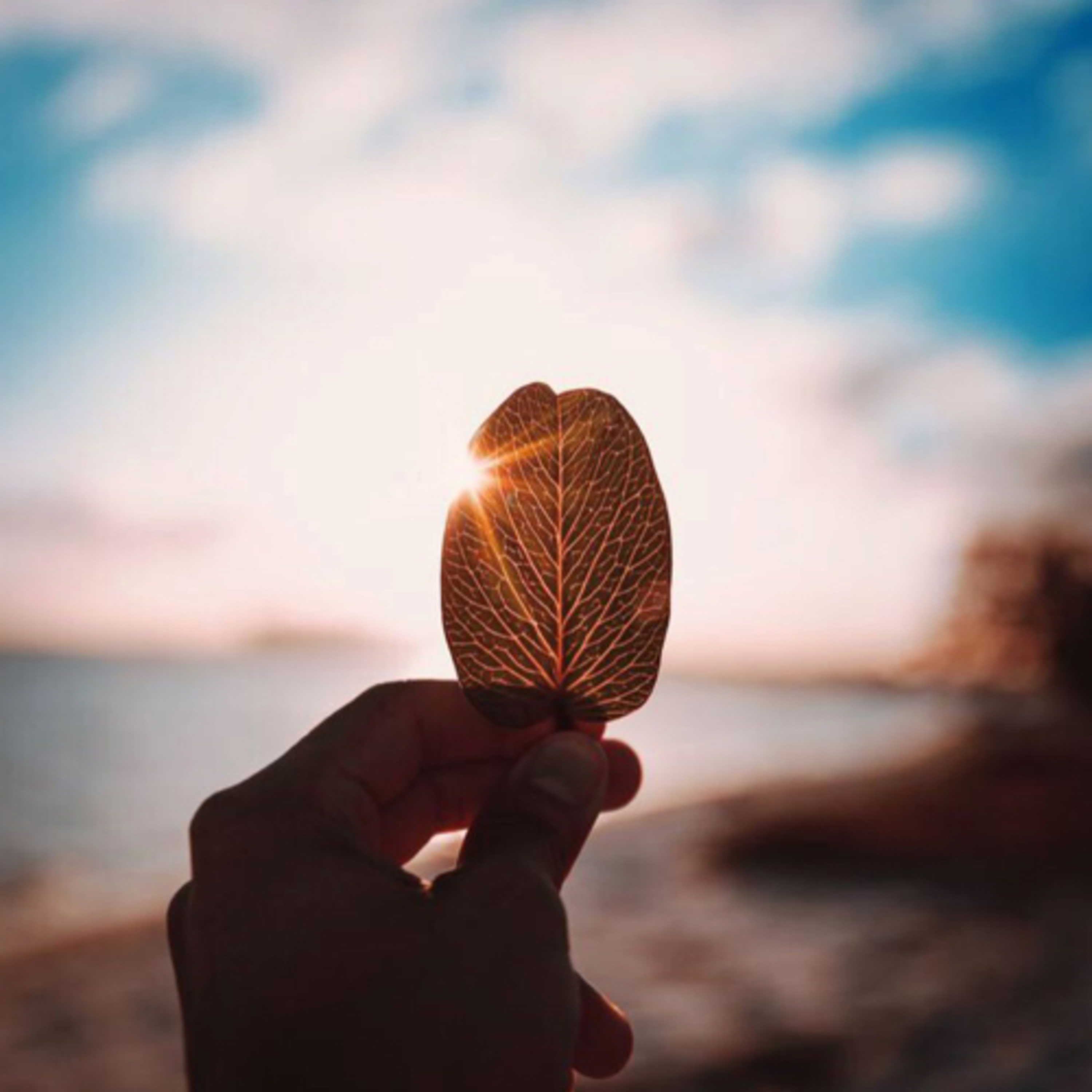 Ceylan Ulusoy ile Mindfulness