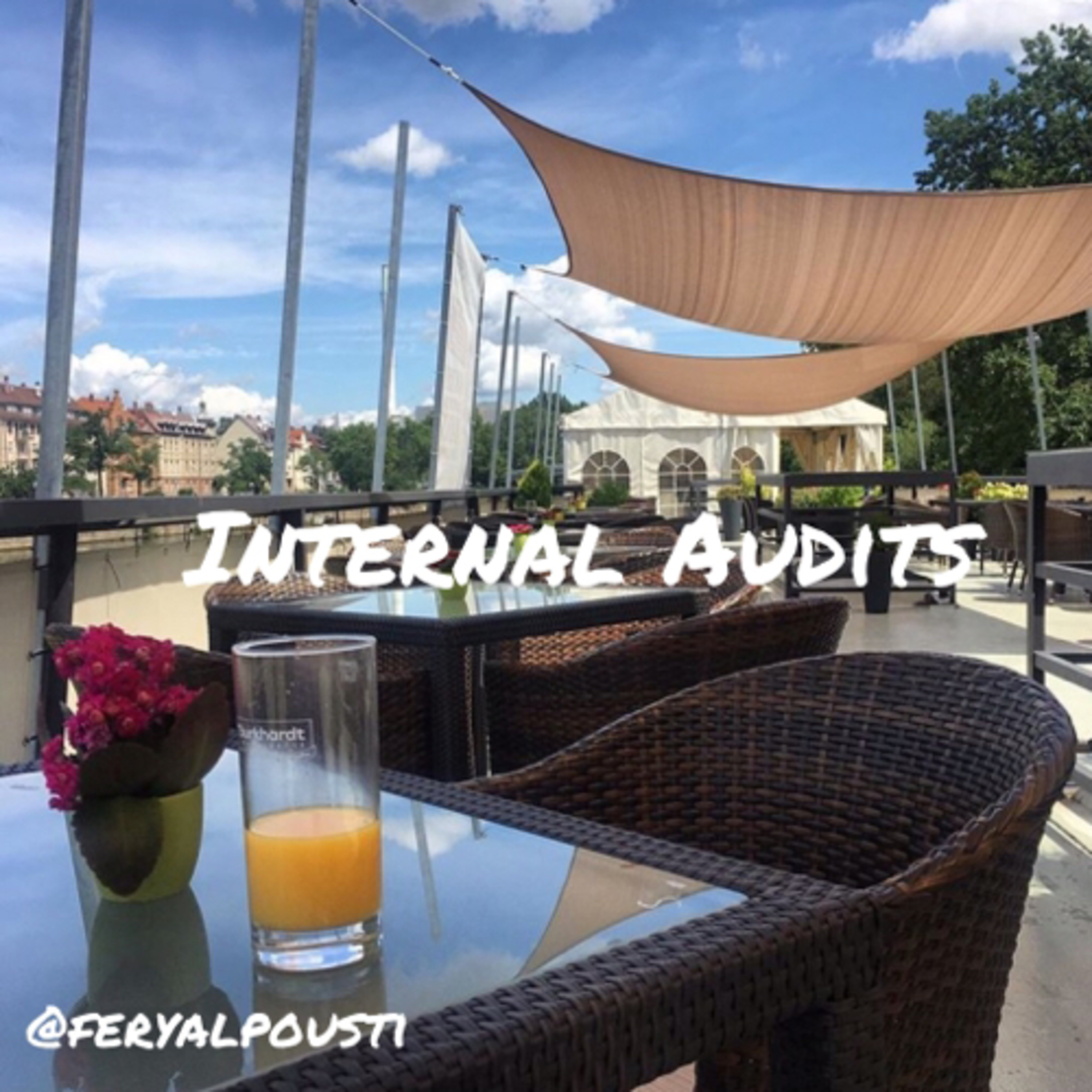 Internal Audits  episode artwork