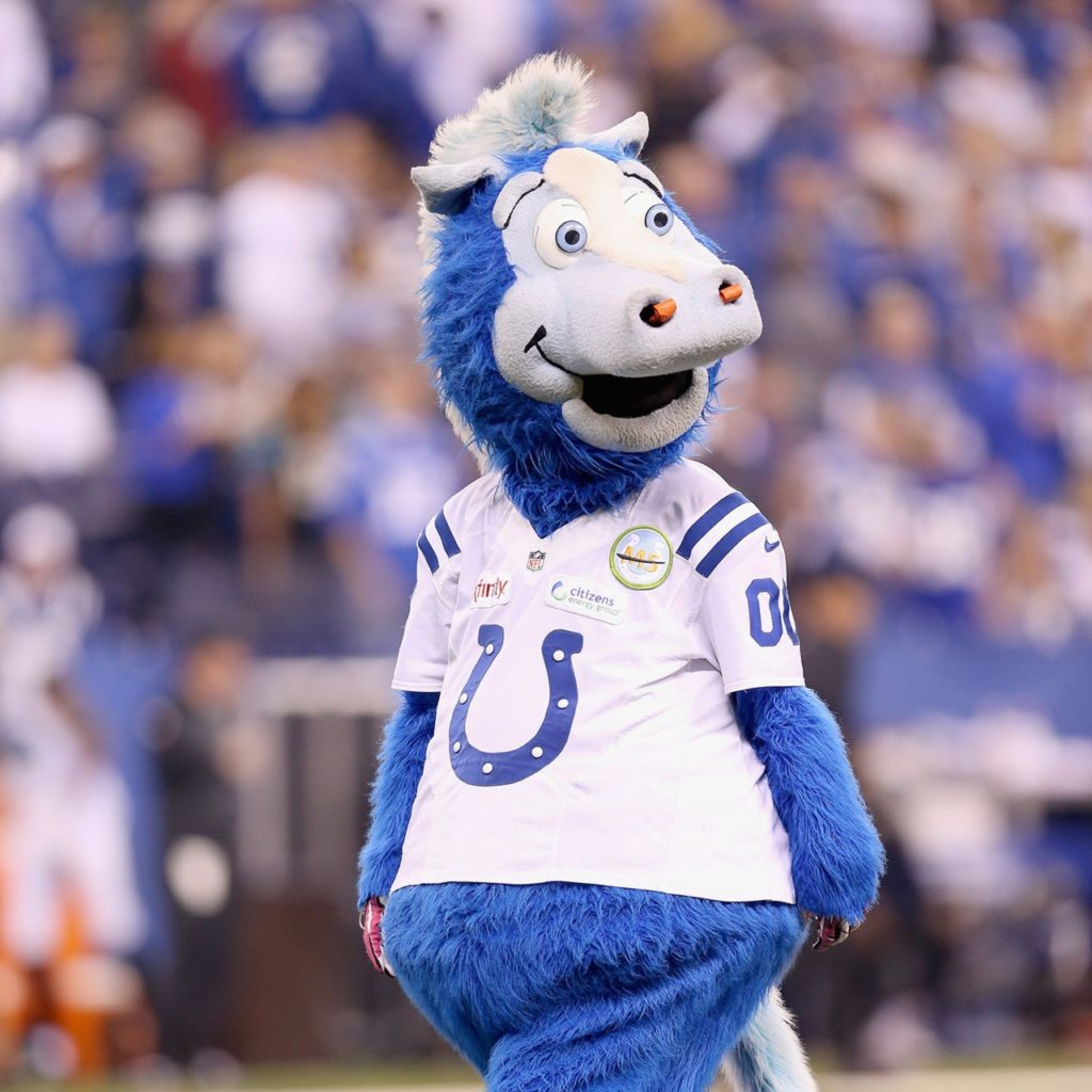 Colts Mascot part 2 episode artwork