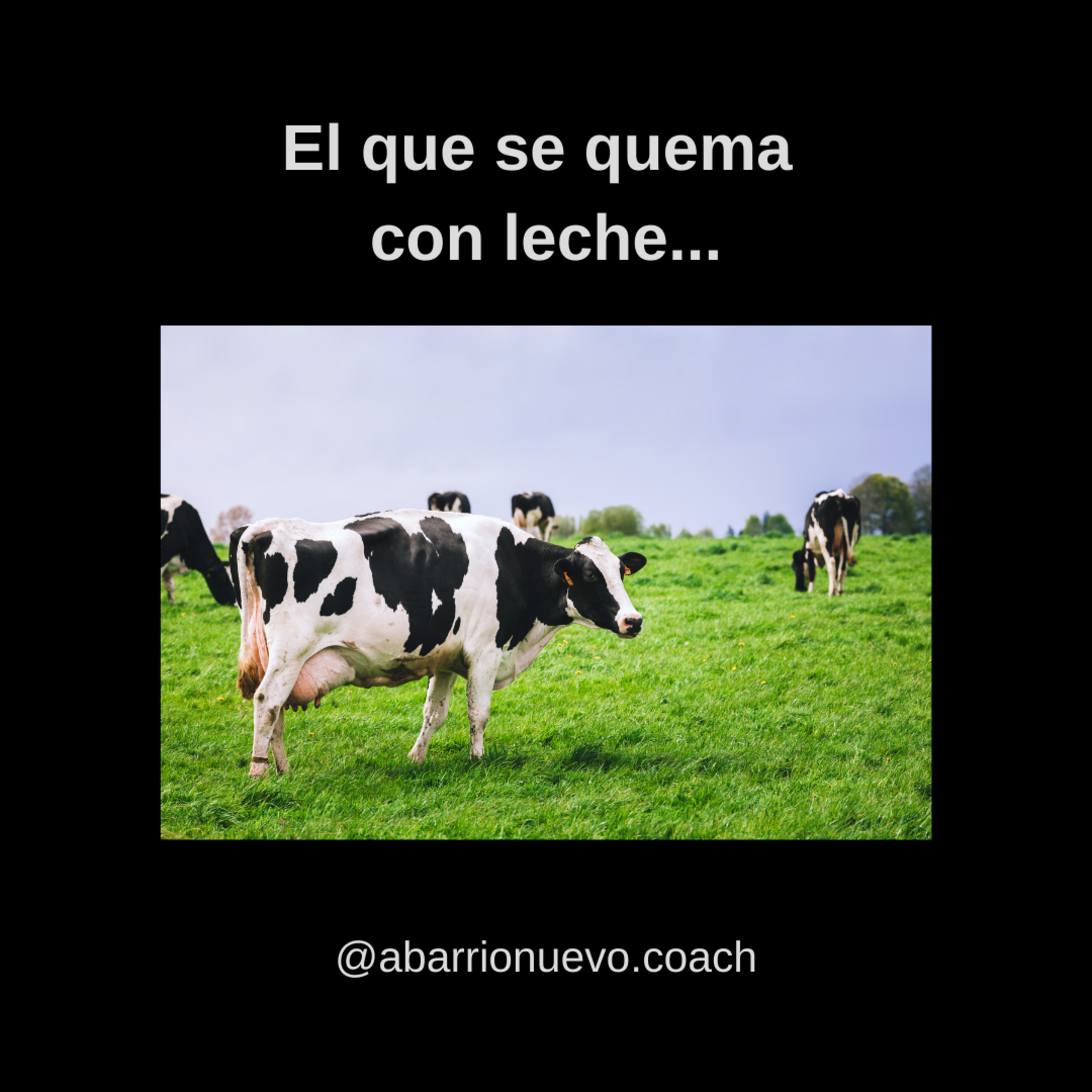 El que se quema con leche... episode artwork