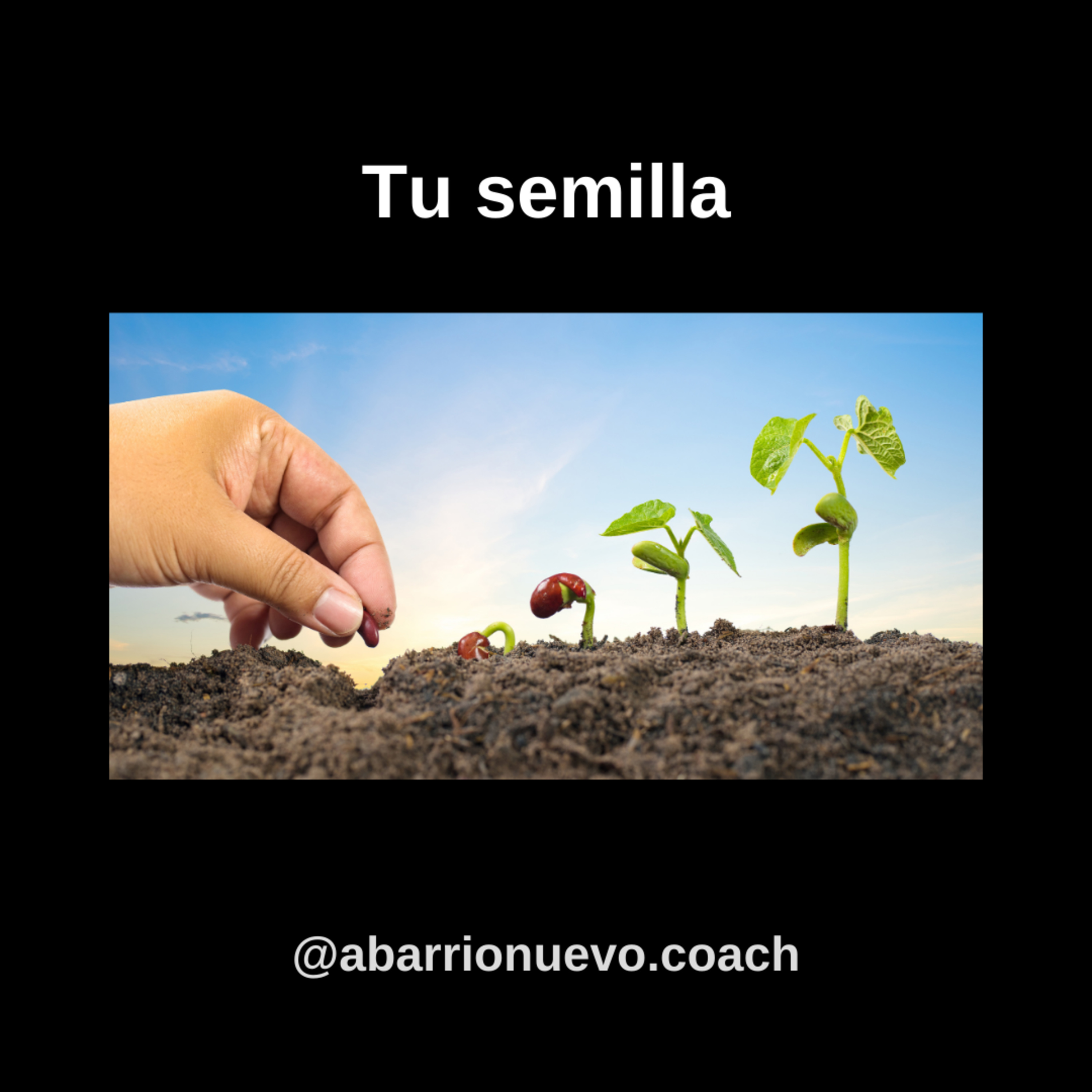 Tu semilla episode artwork