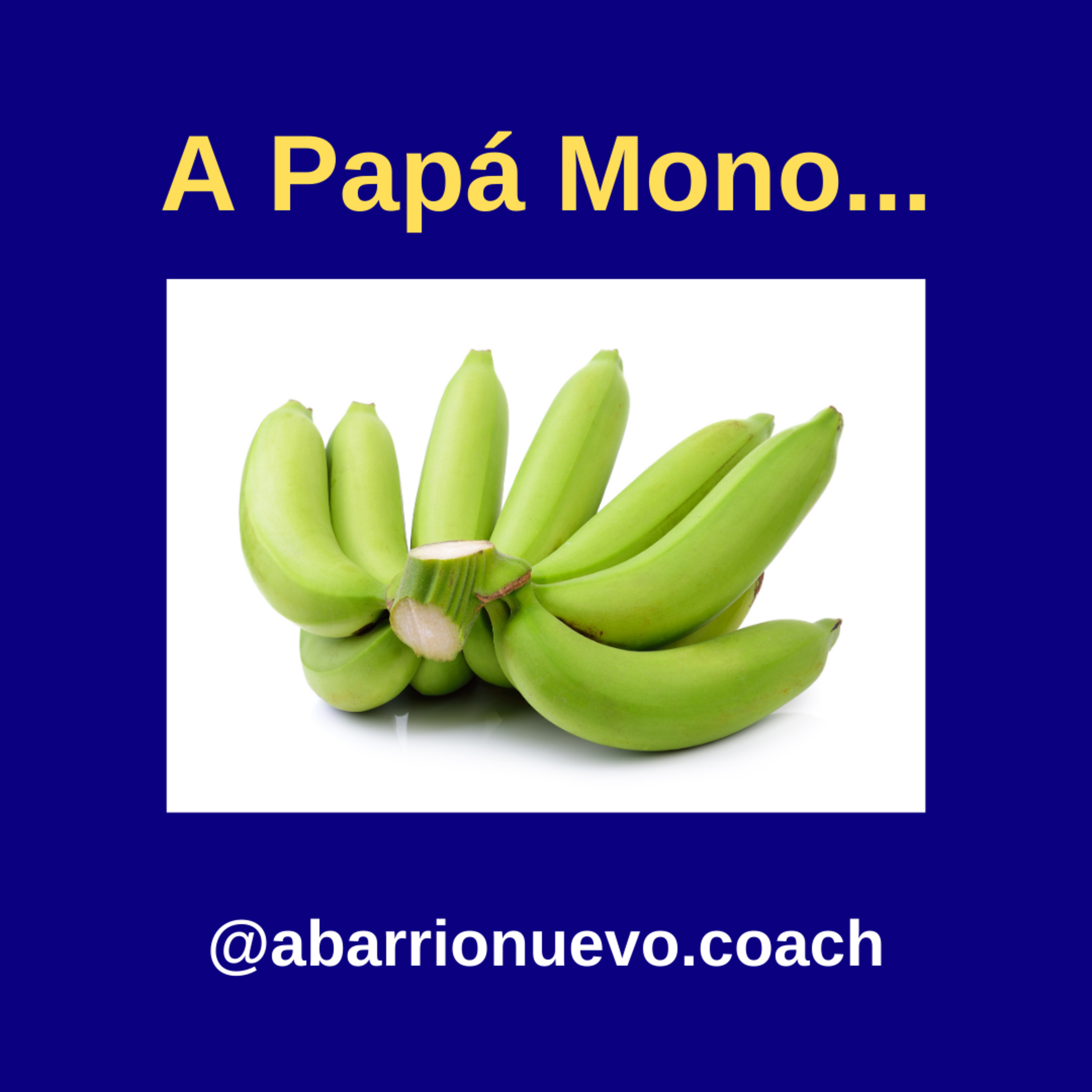 A Papá Mono... episode artwork