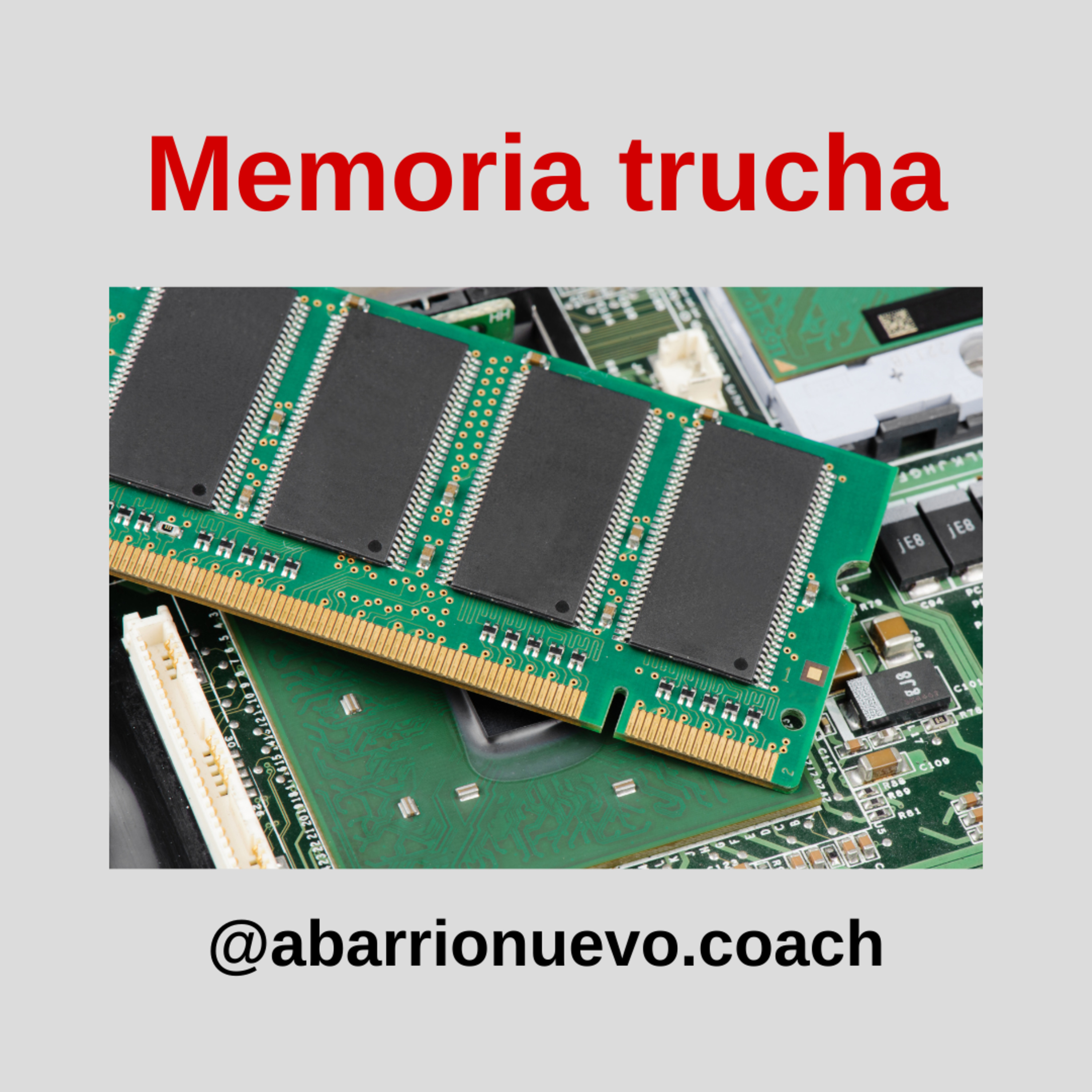 Memoria trucha episode artwork