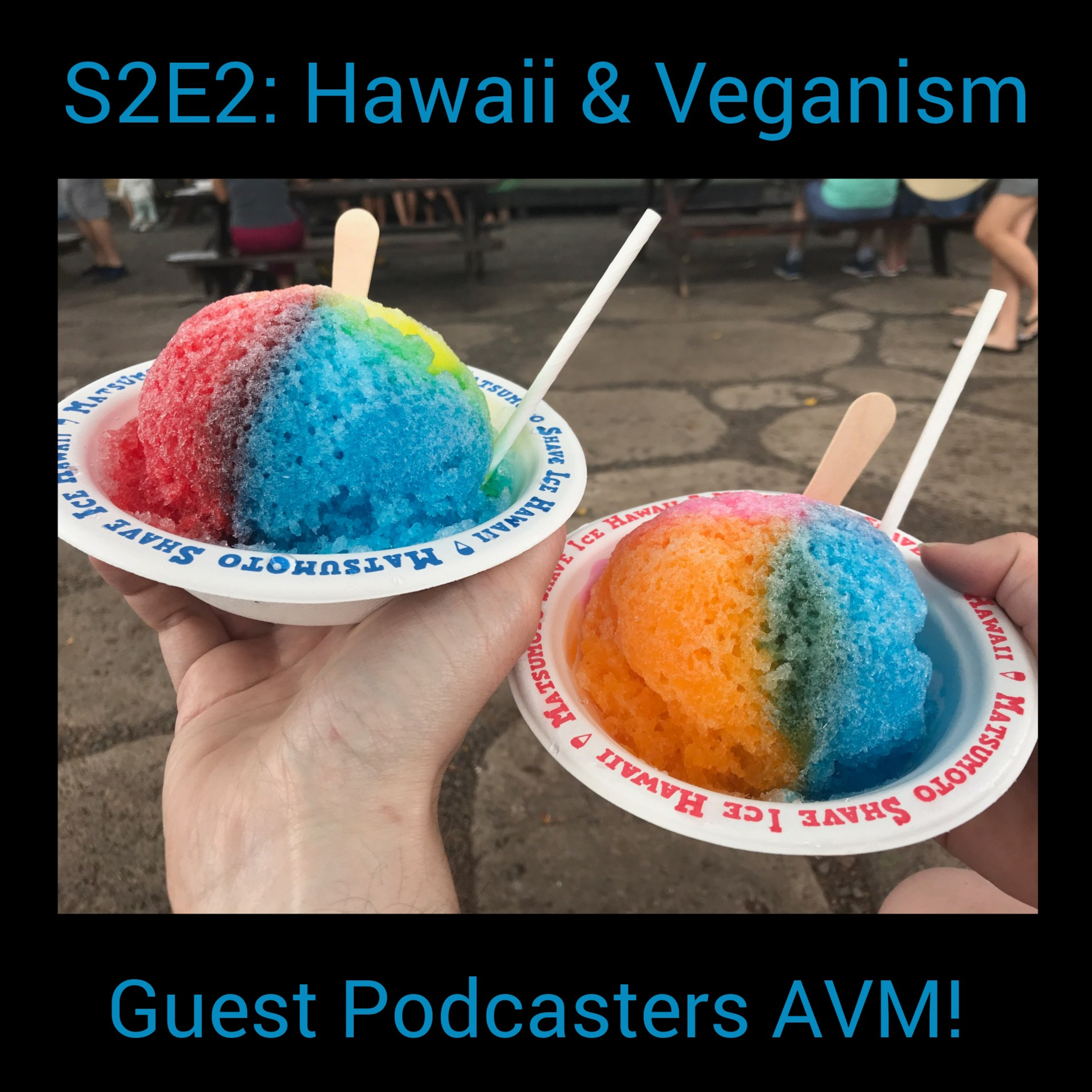 S2E2: Hawaii, Travel Challenges, and Shave Ice with Guest Podcasters Animal, Vegetable, Marital  episode artwork
