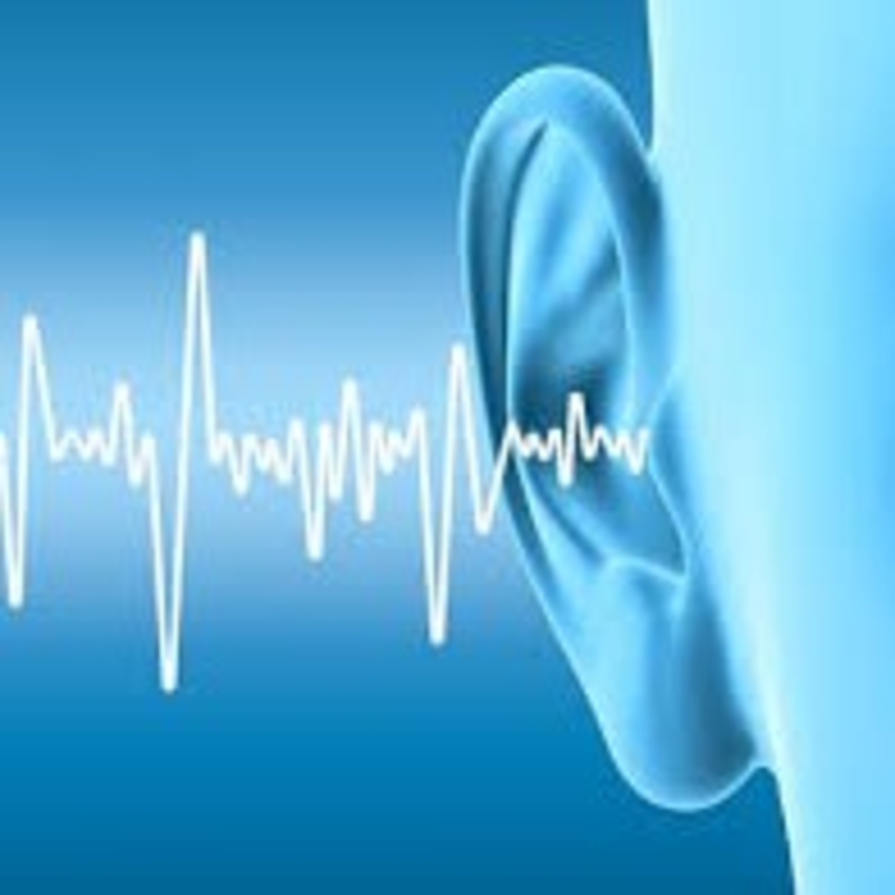 The Adventist Voice