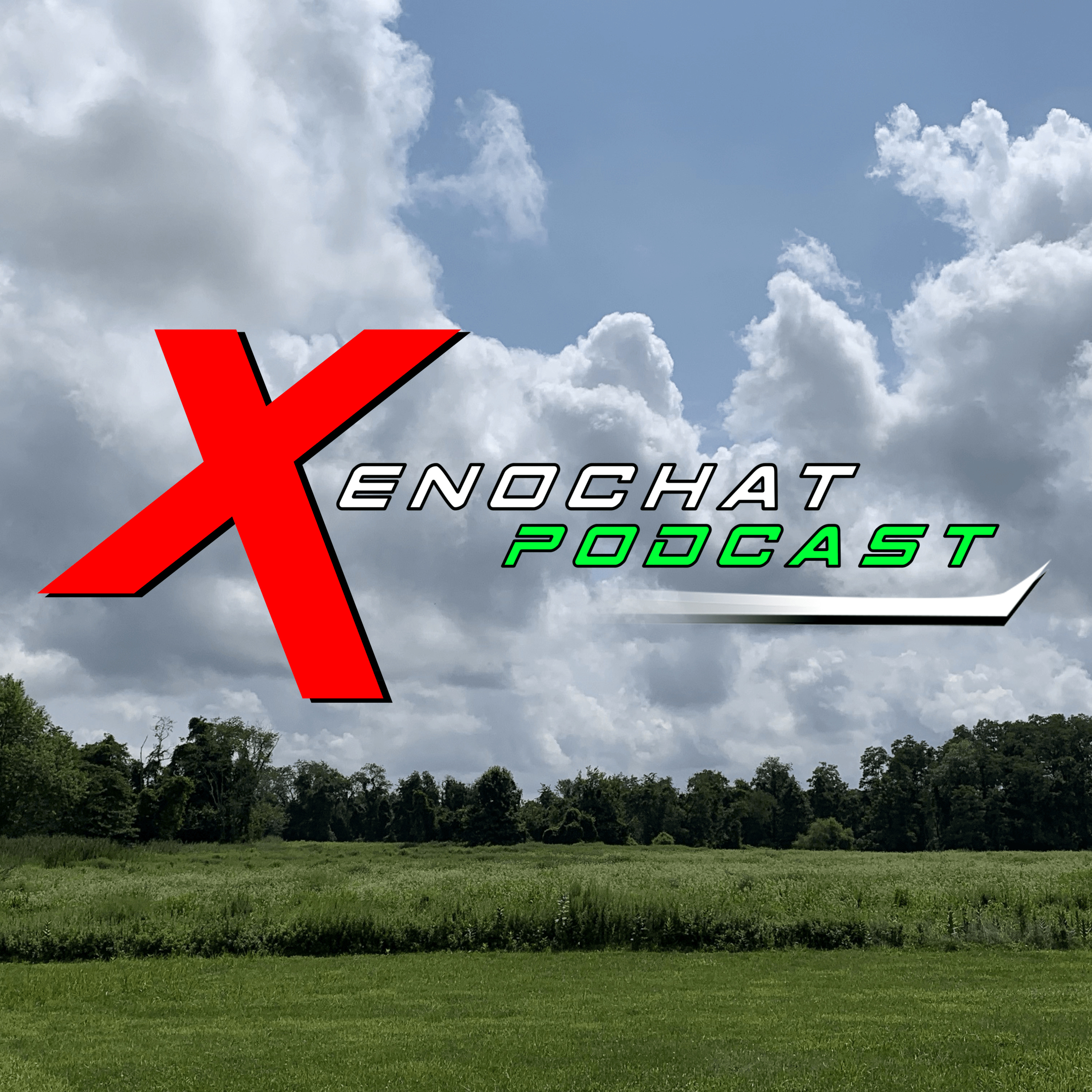 XenoChat Anniversary Bonus: Reflections