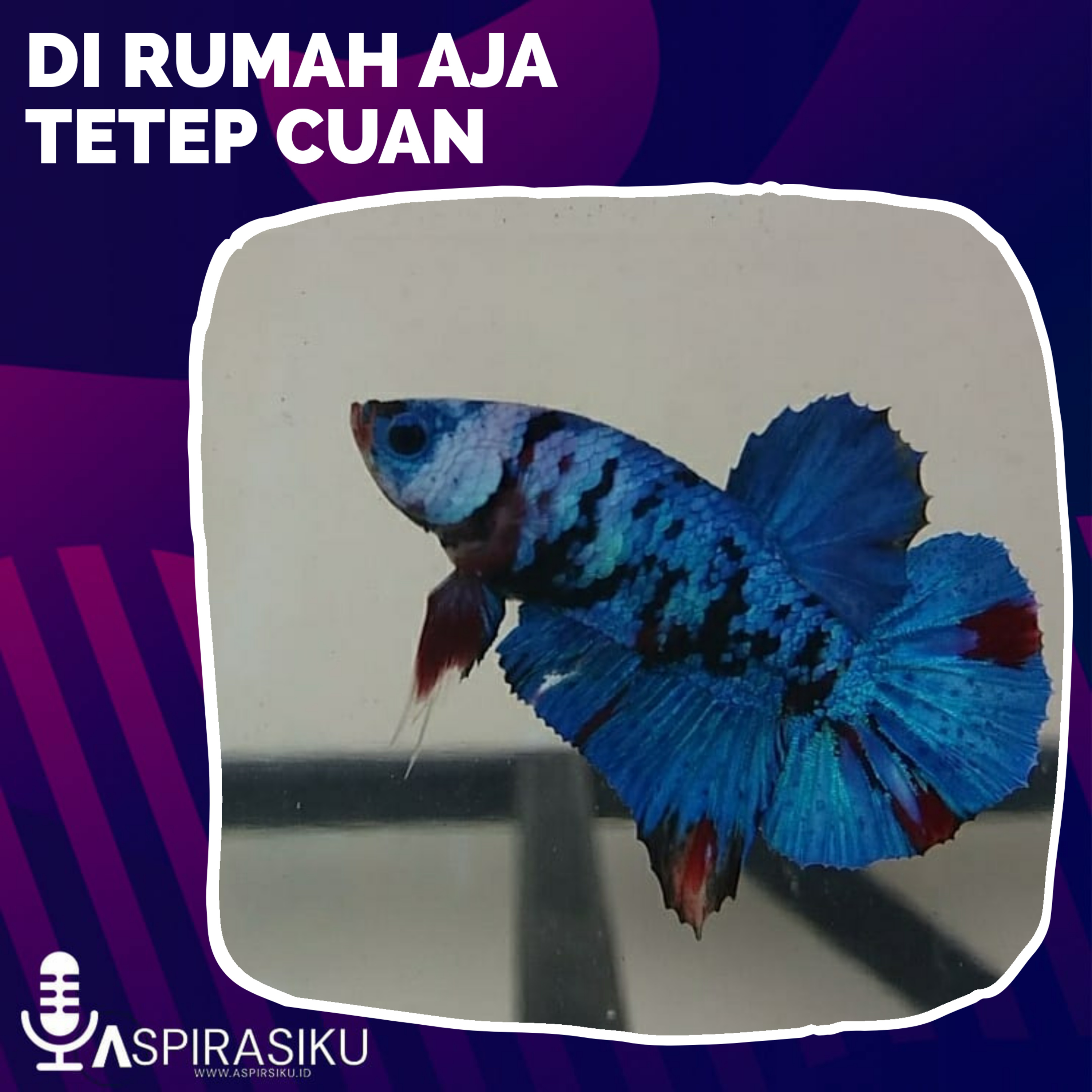 Aspirasiku ID