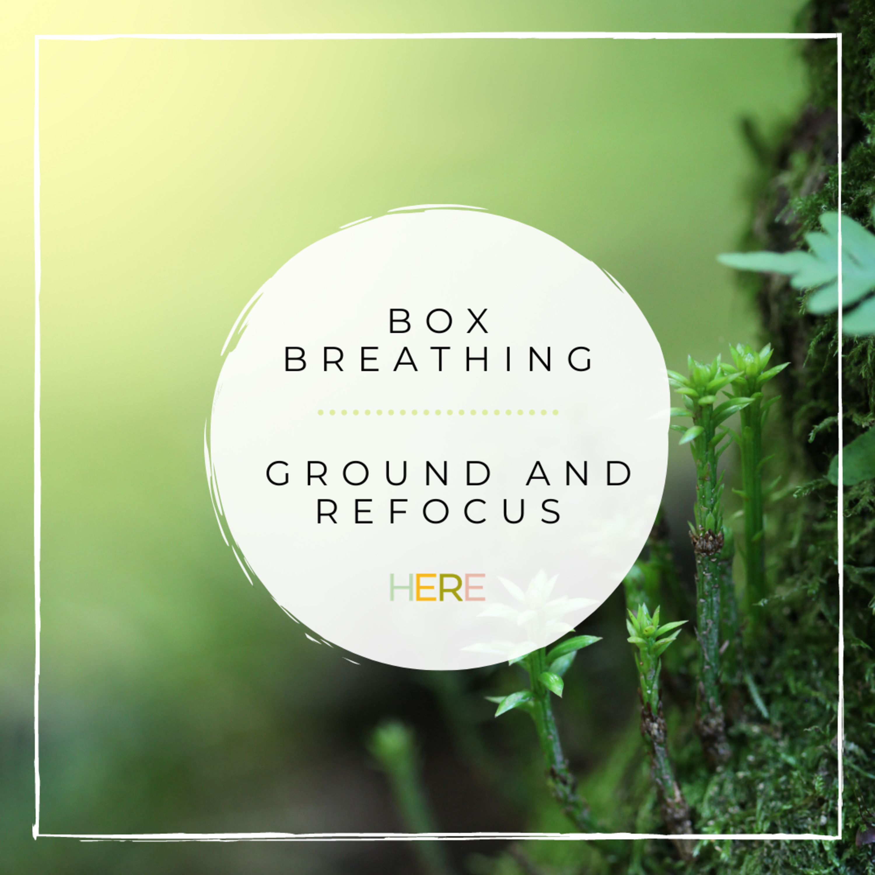 Meditation: Box Breathing ~ Ground and Refocus