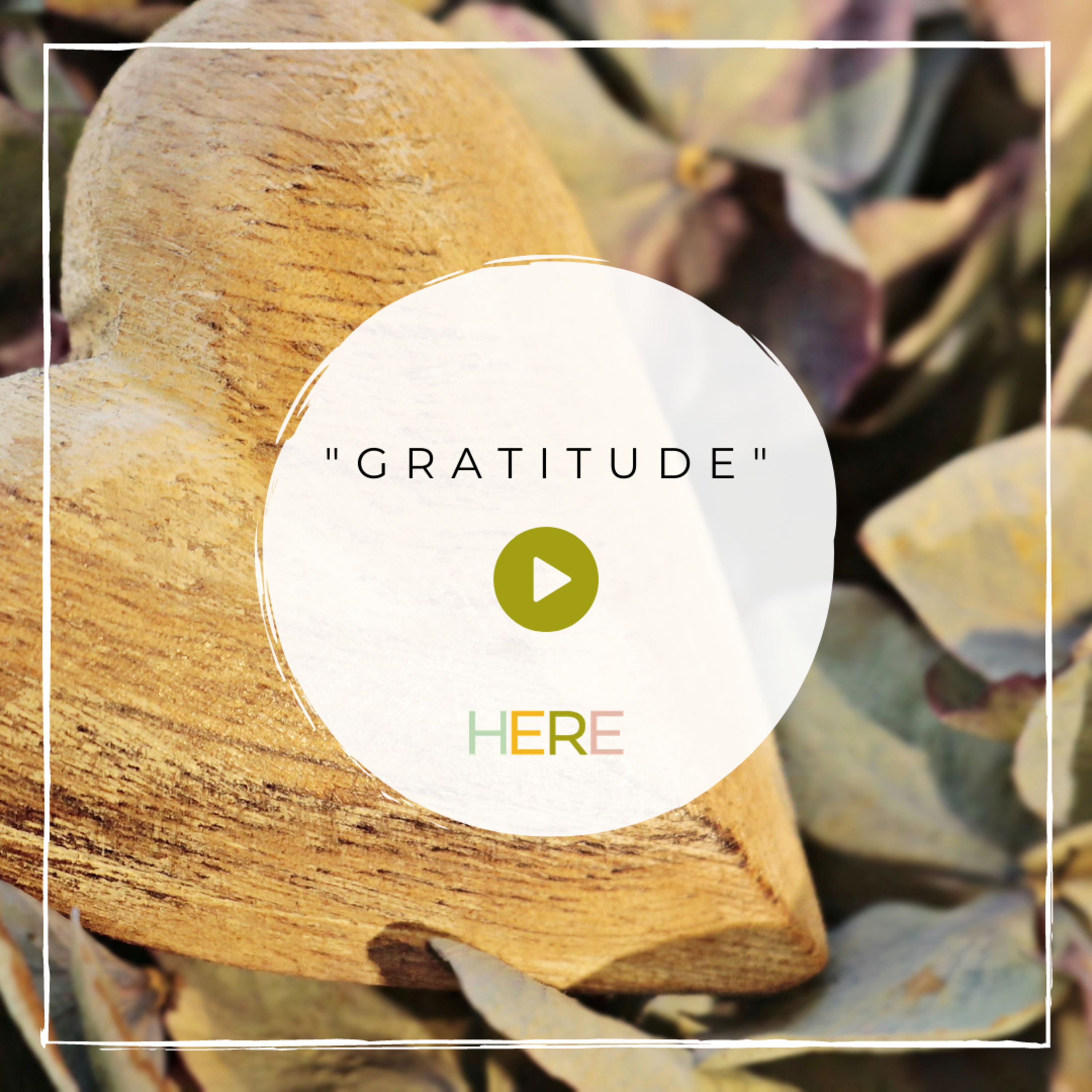 Meditation: Gratitude