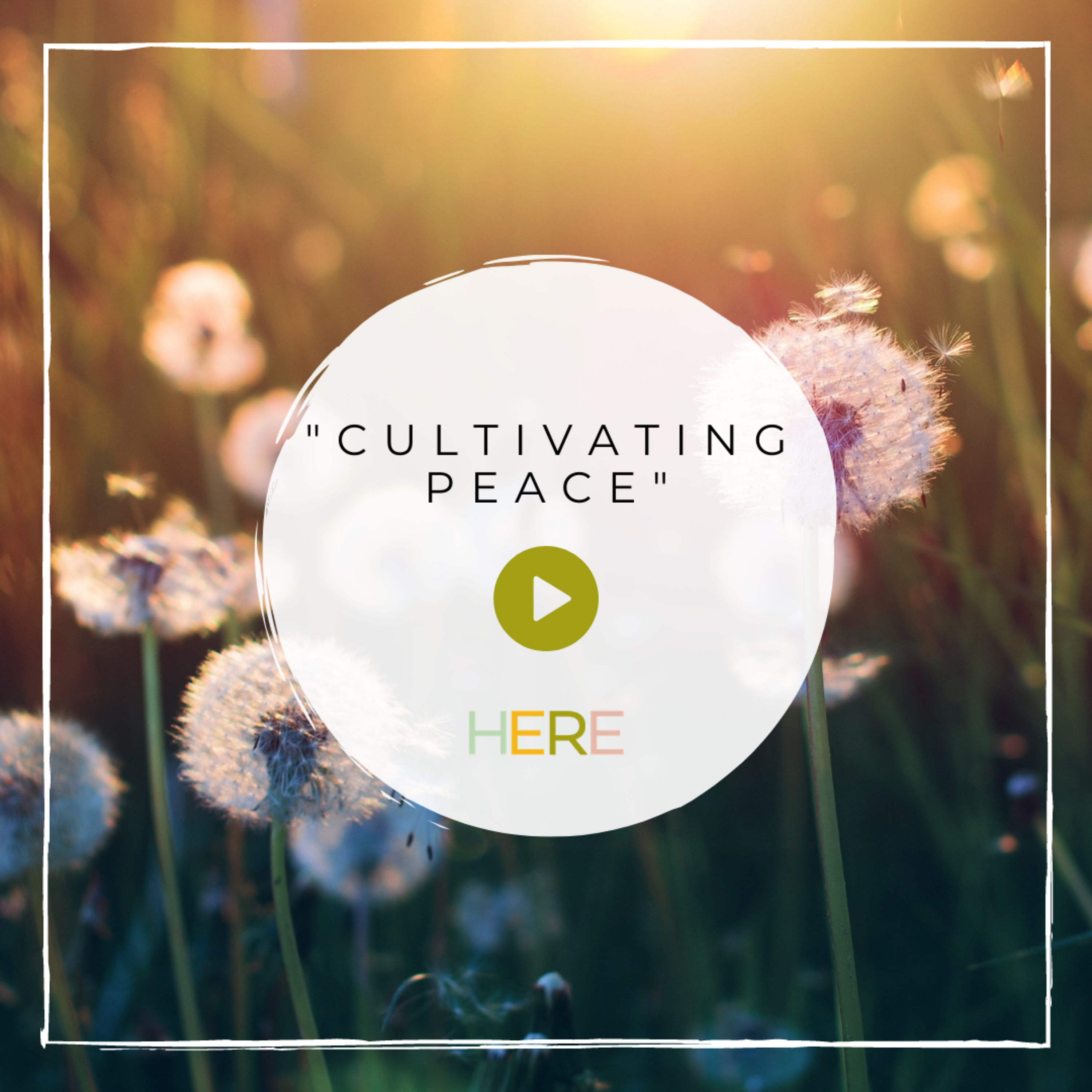 Cultivating Peace