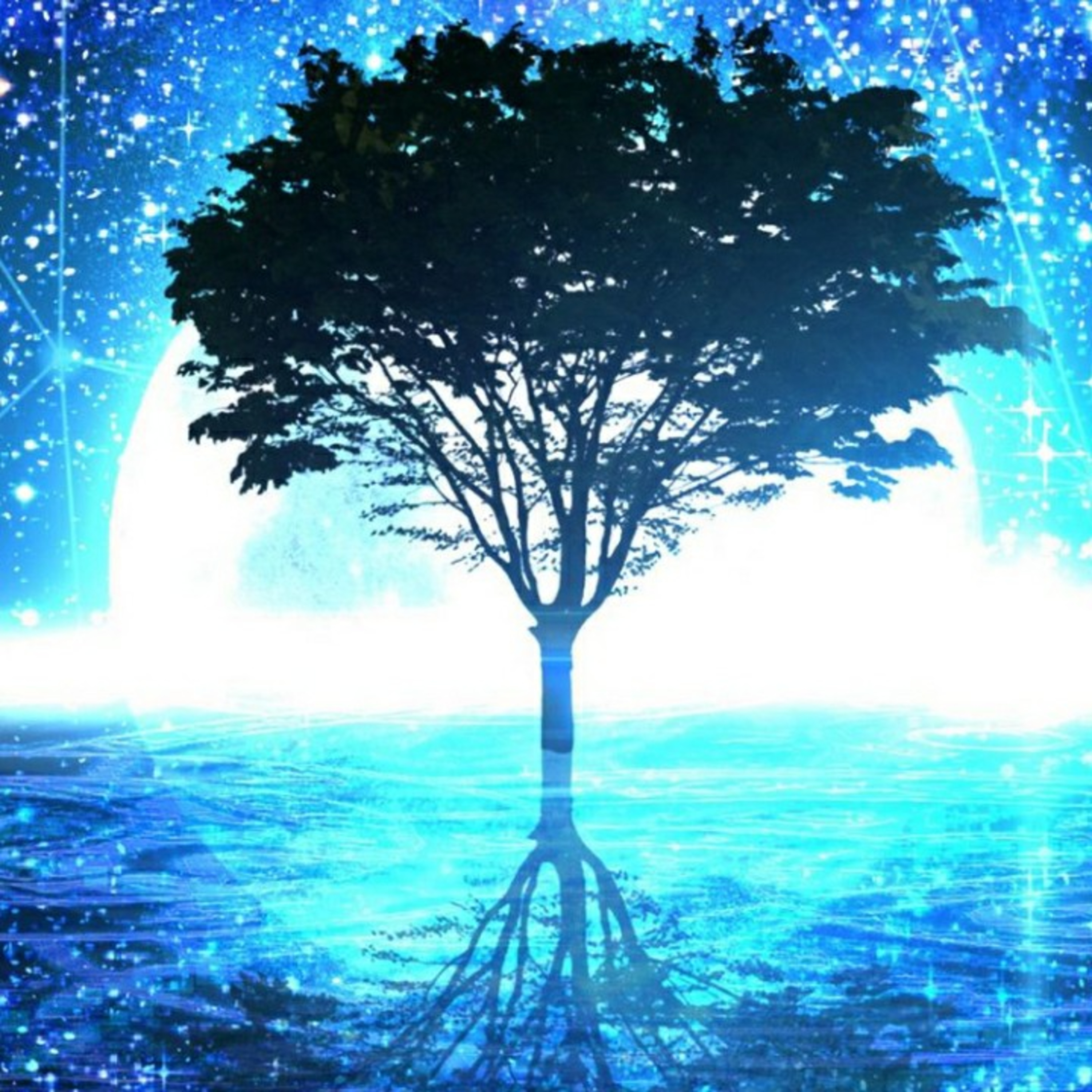 Cuento - El jardín natural episode artwork