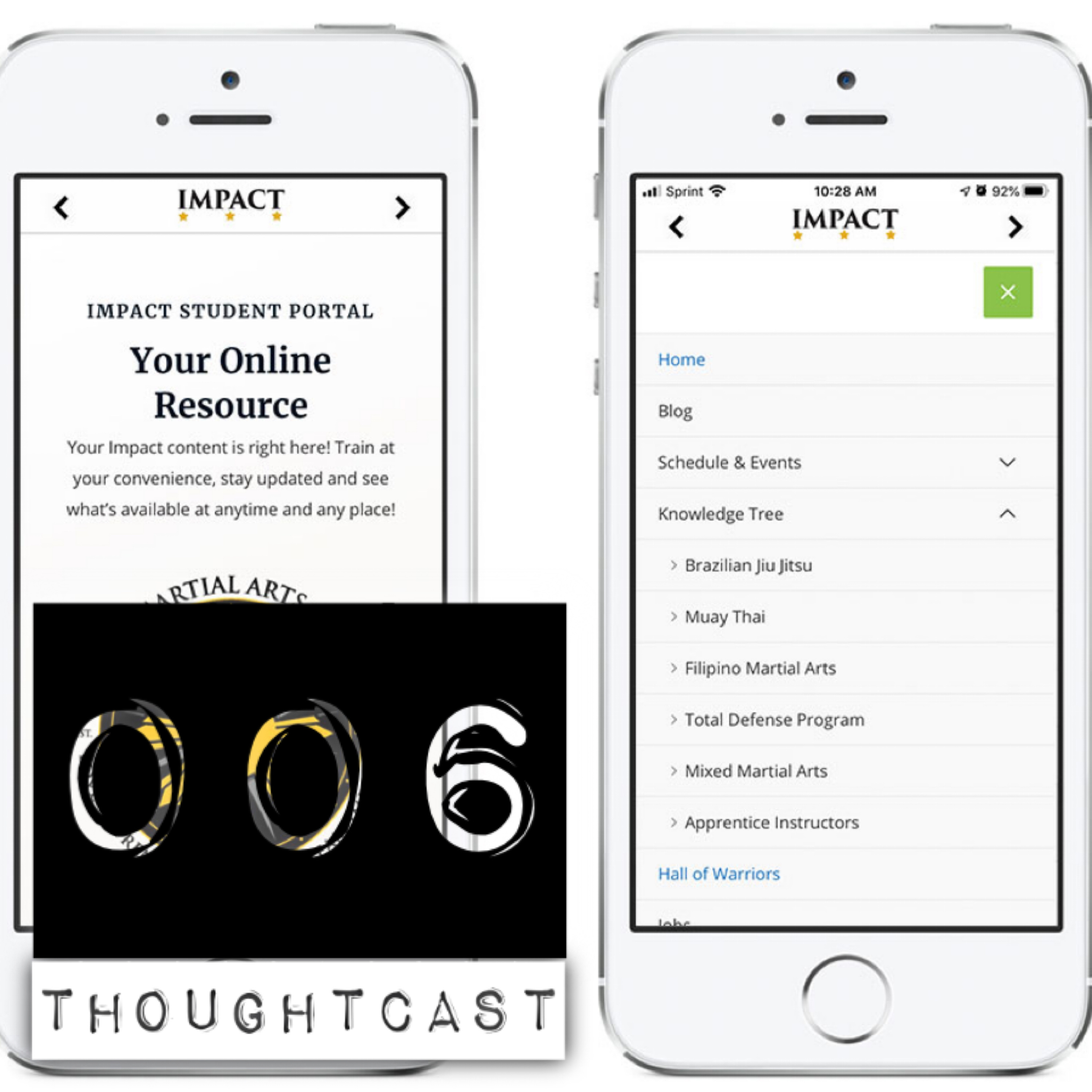Martial Arts Thoughtcast