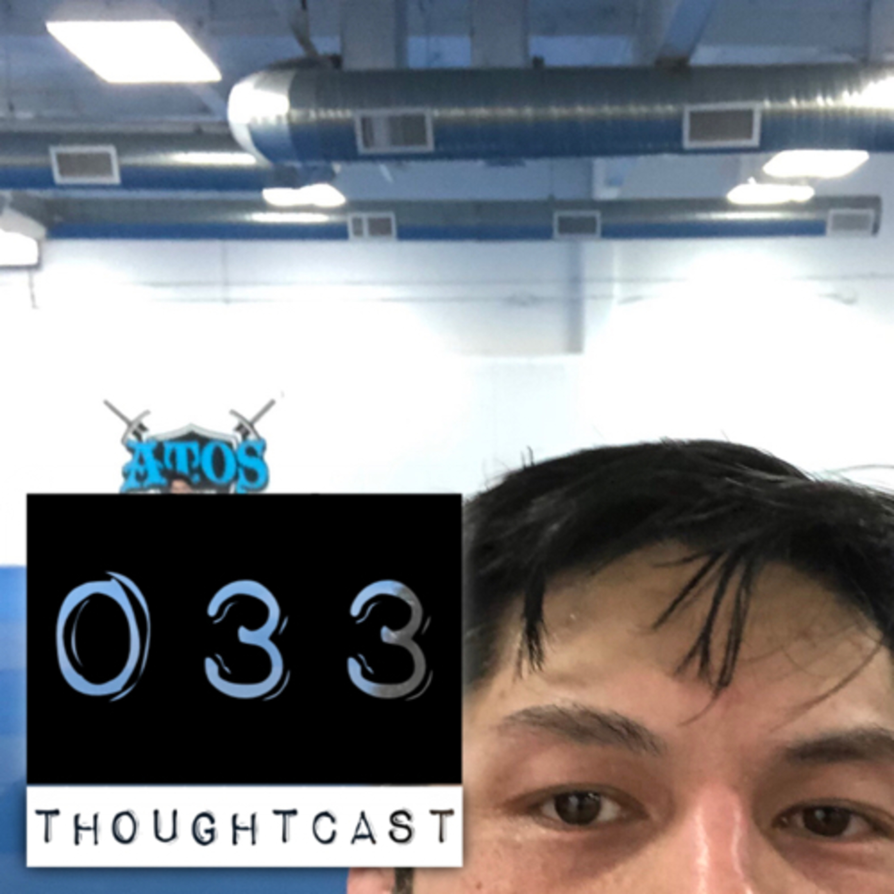 Martial Arts Thoughtcast