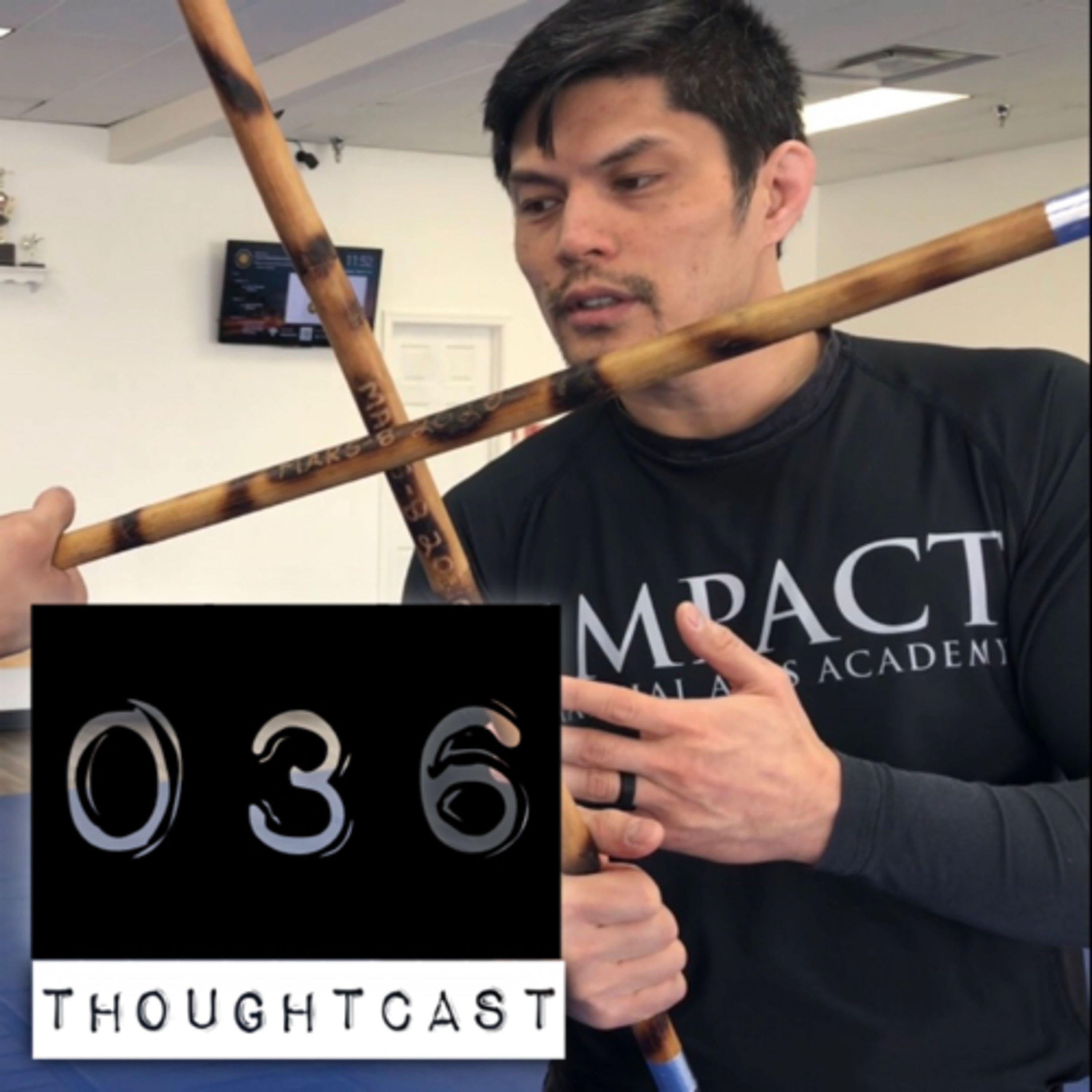 Martial Arts Thoughtcast