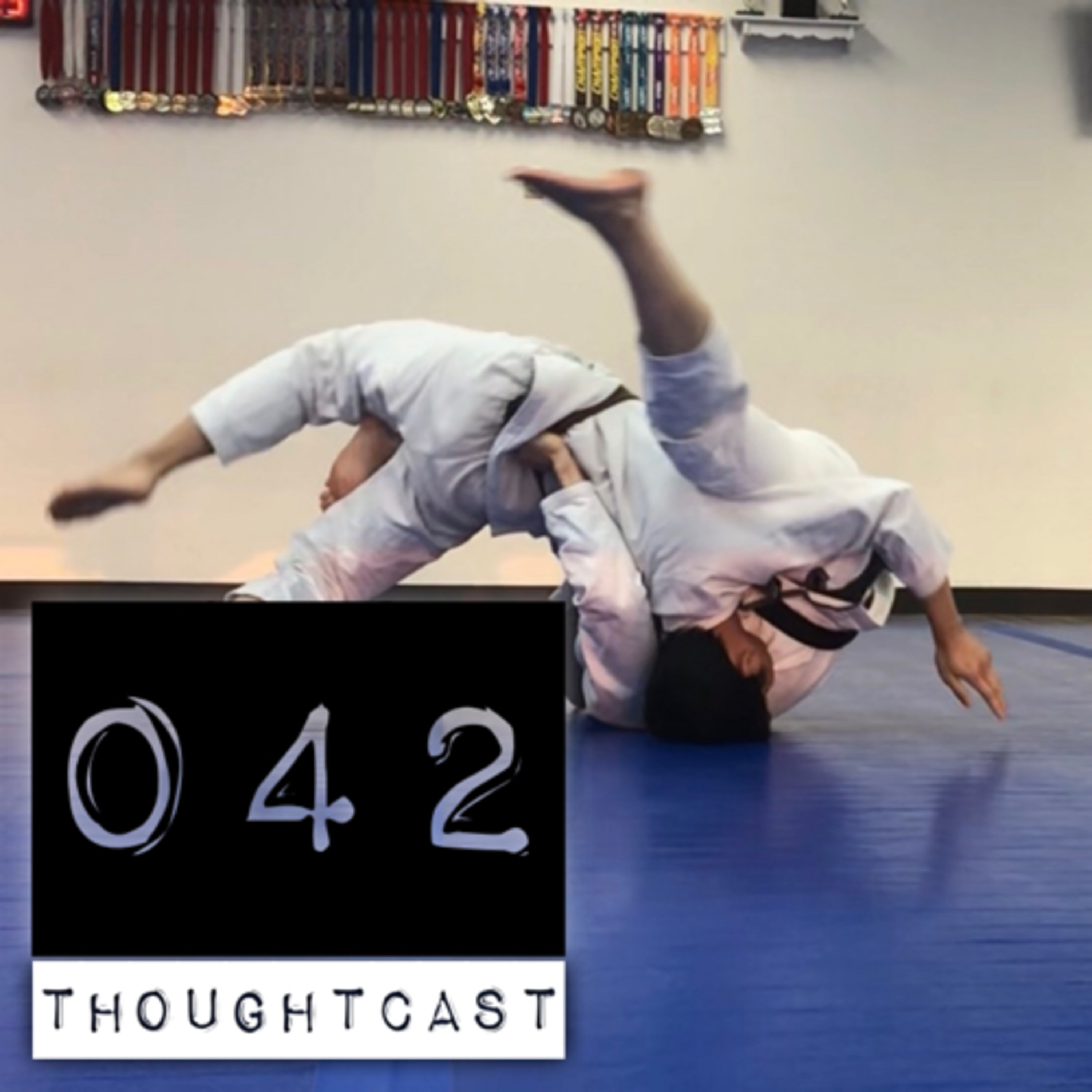 Martial Arts Thoughtcast