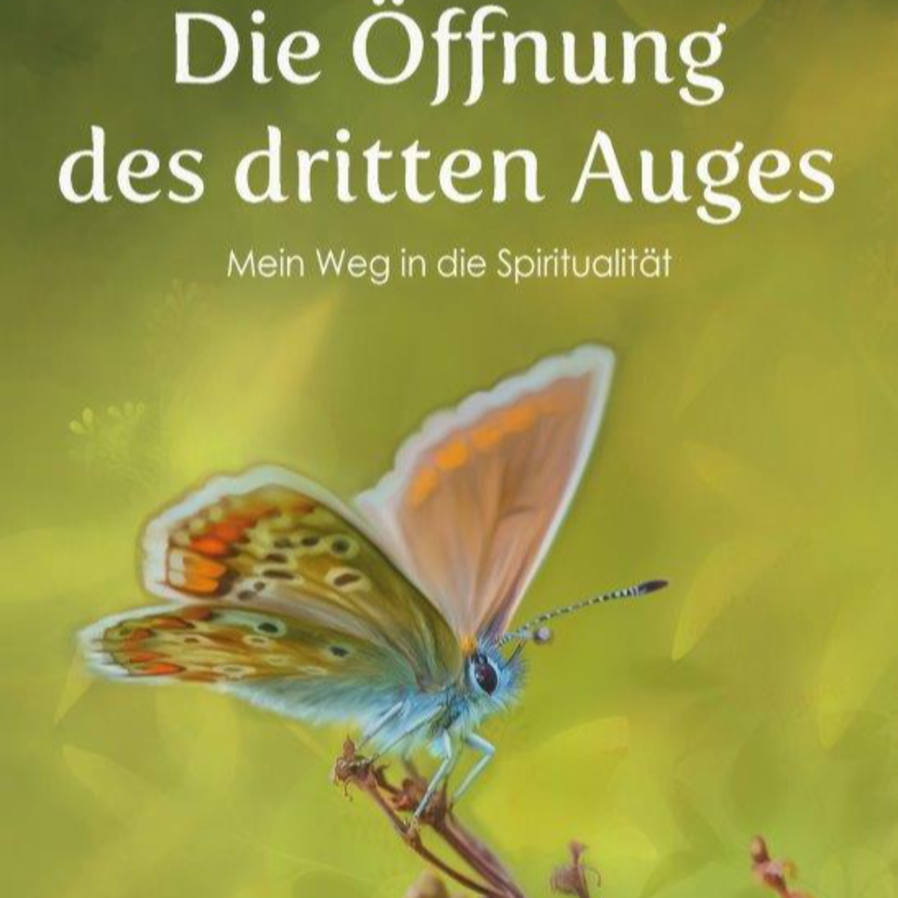 Verlag Andrea Schröder, Inhaber Jens Koch