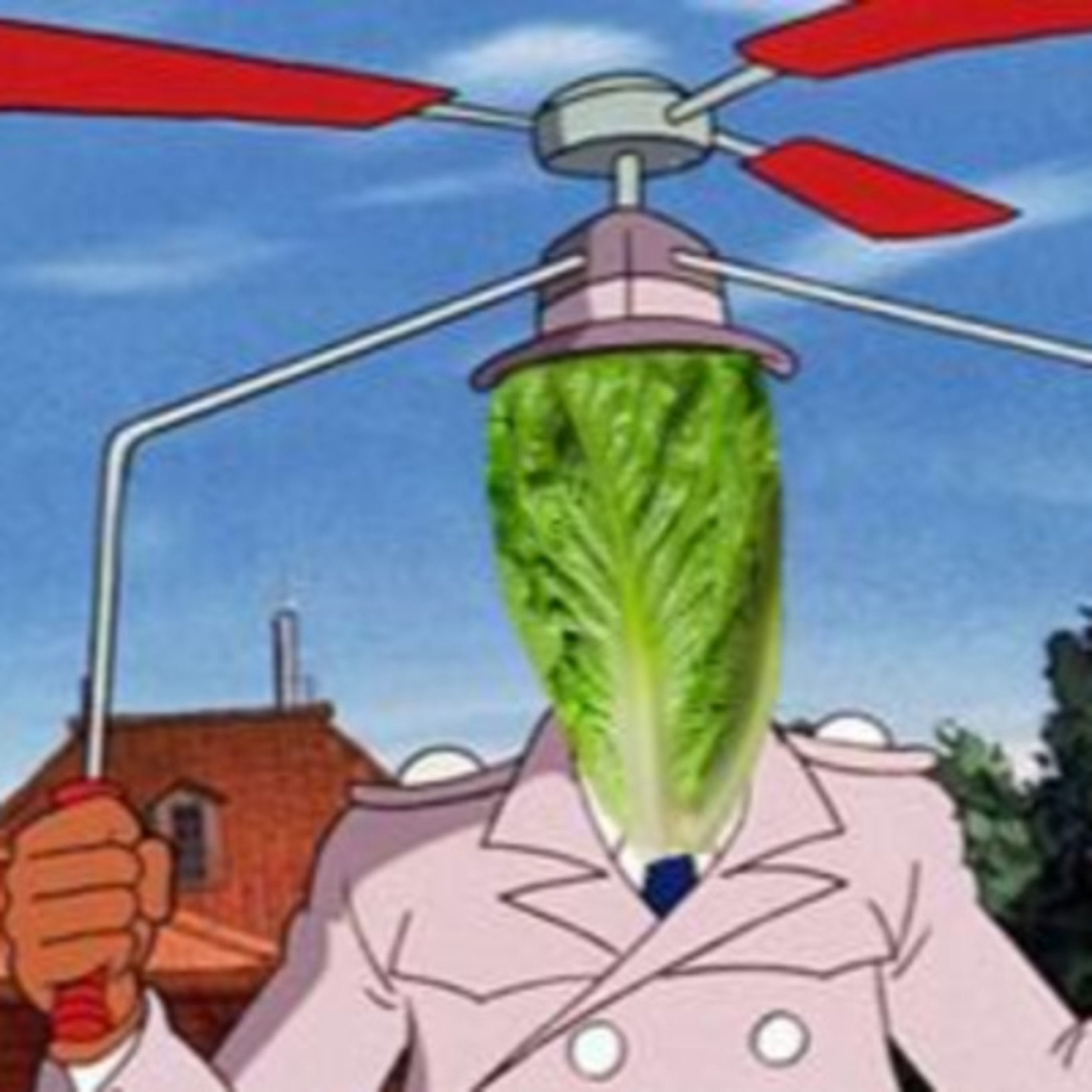 One Big Tossed Salad