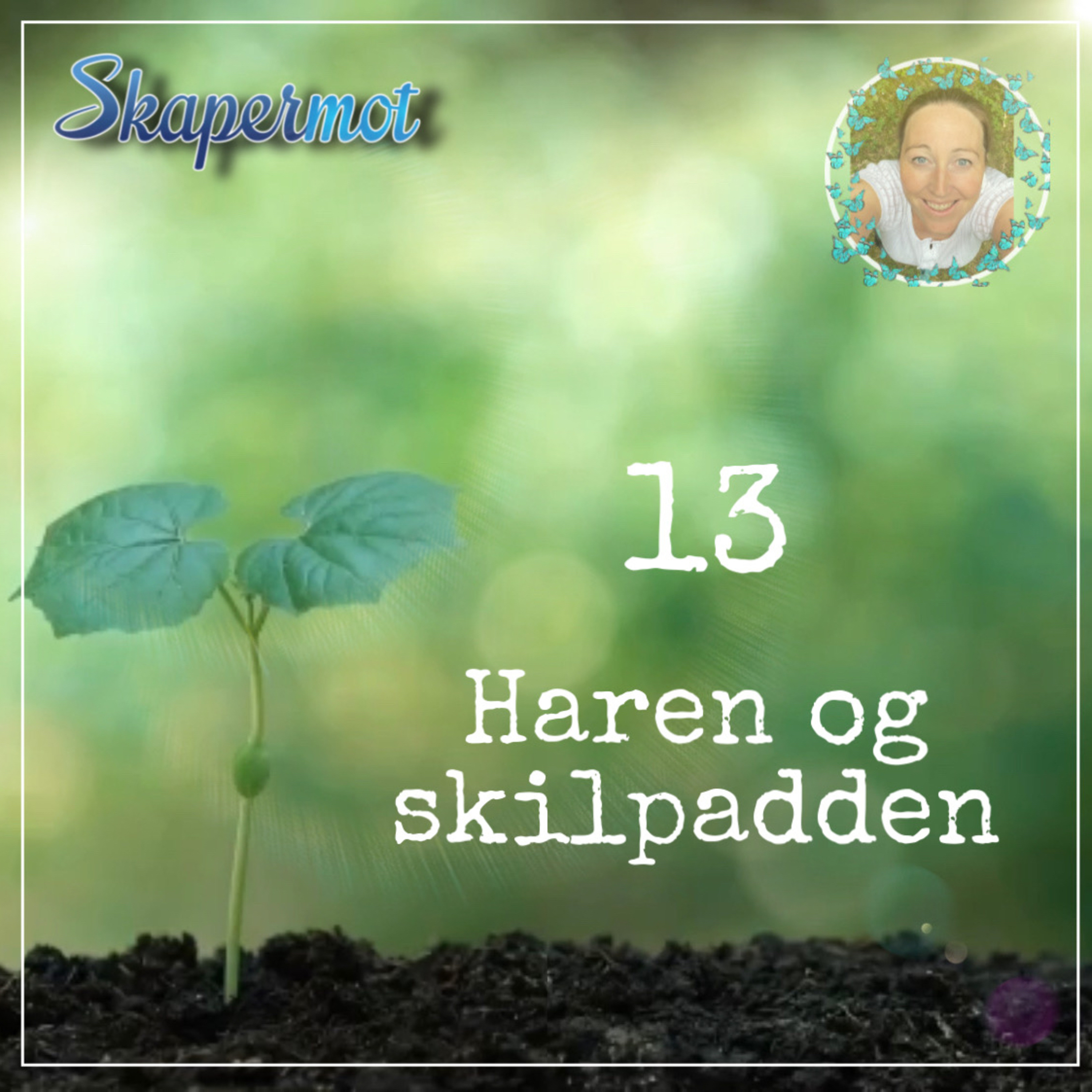 Skapermot