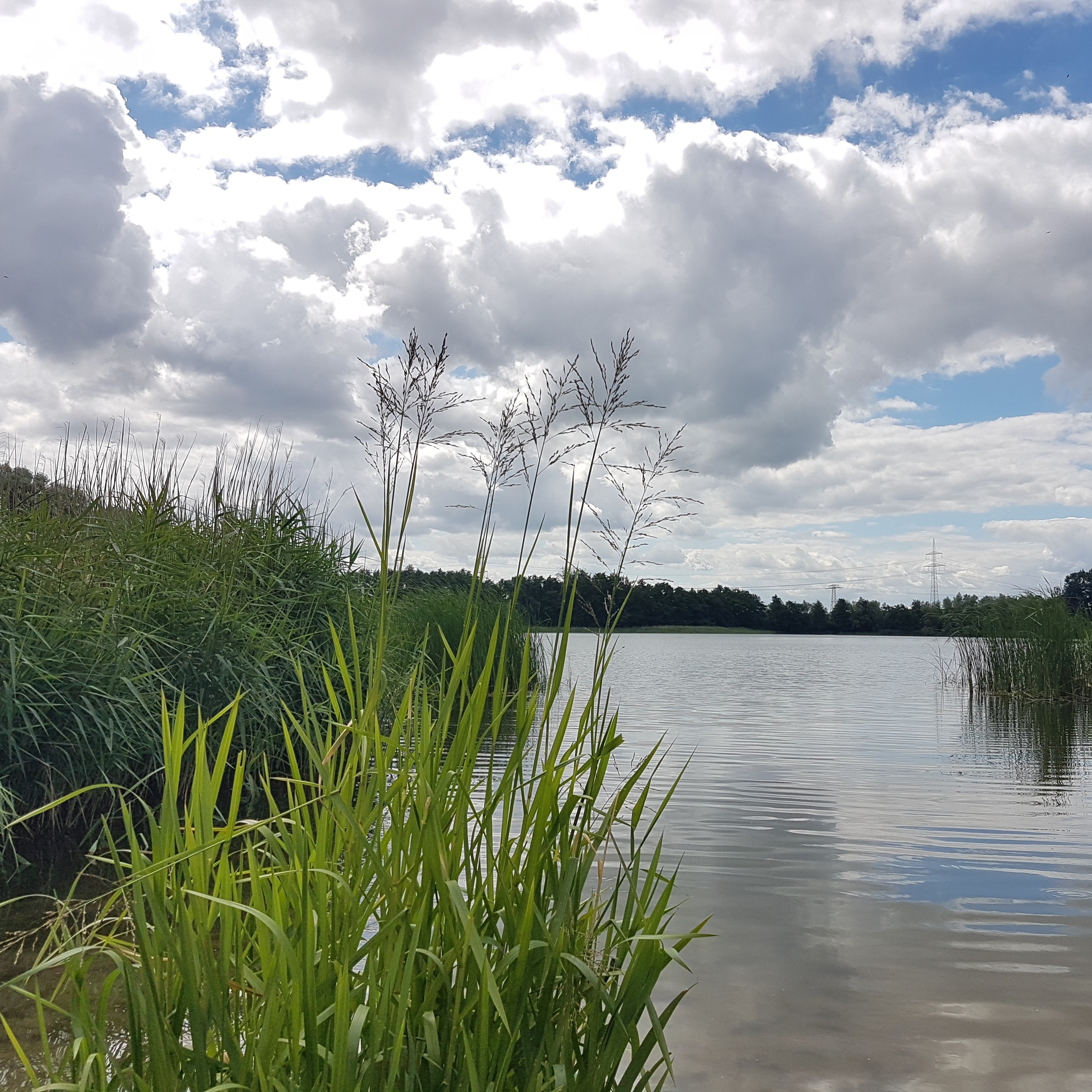 Leo from the lake - new phase new station on my life ... share it with you ... natural wisdom :))) episode artwork