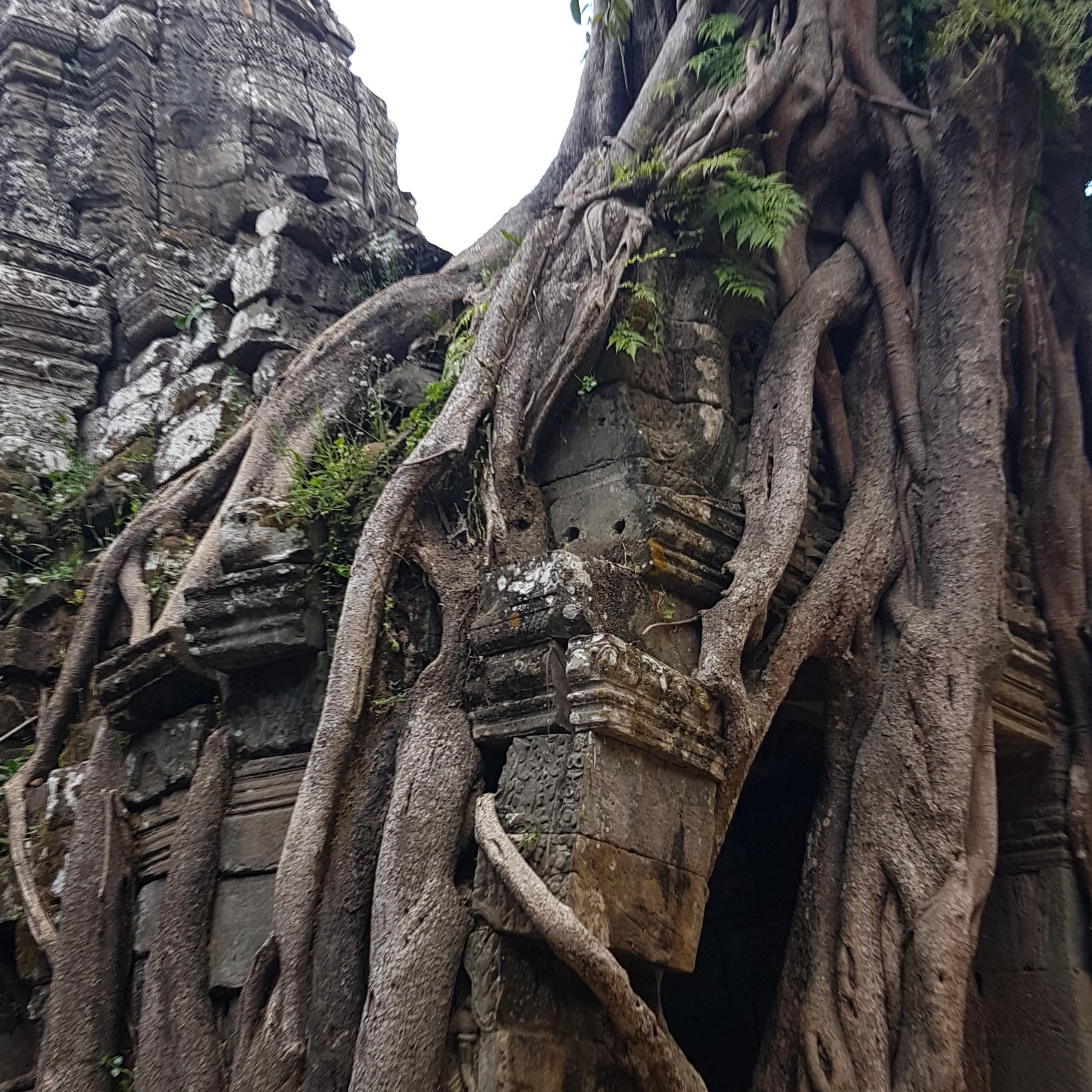 Angkor Wat story 7 - lets come in balance and harmony in diversity together episode artwork