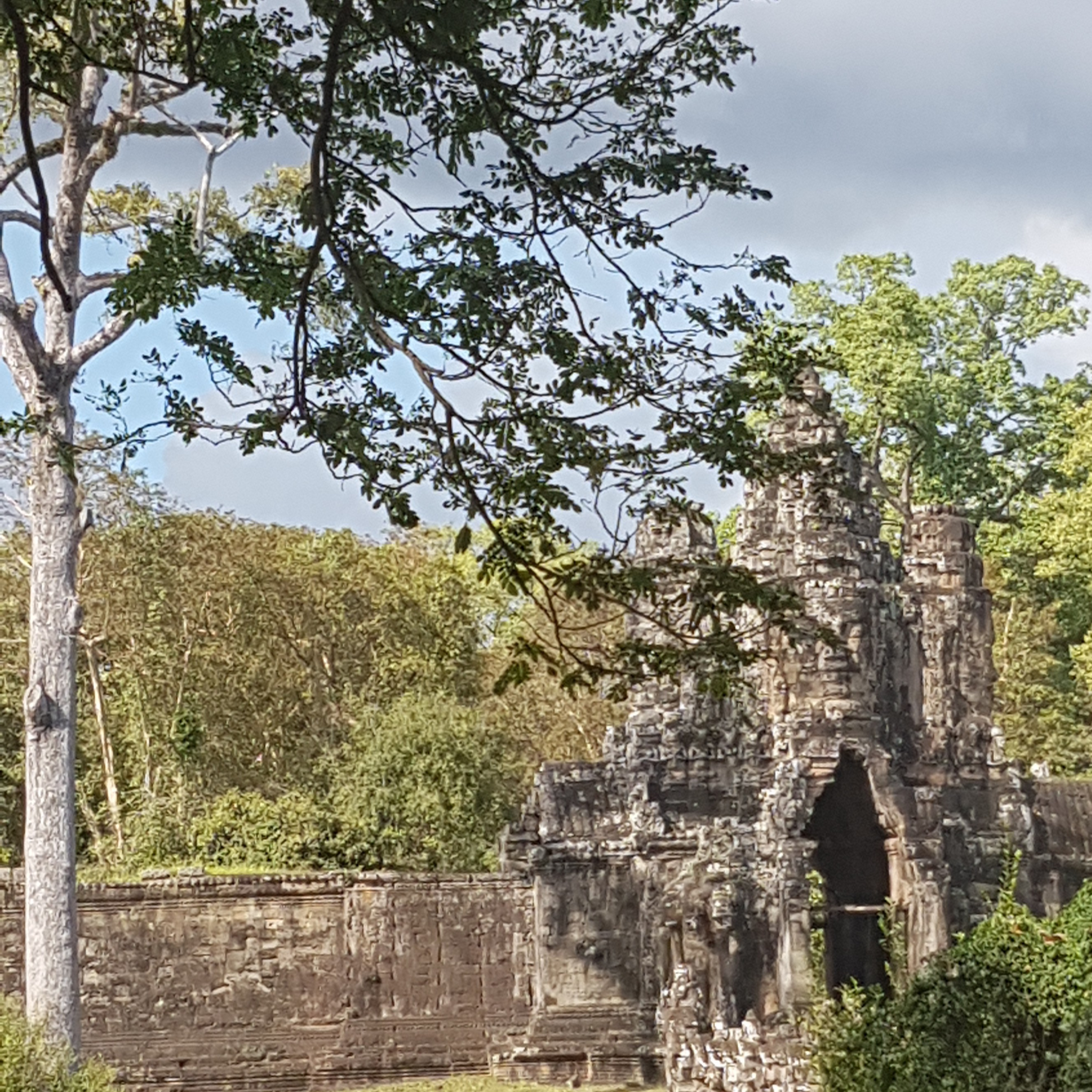 Angkor Wat sounds of nature between temples and history auf 1000 years episode artwork