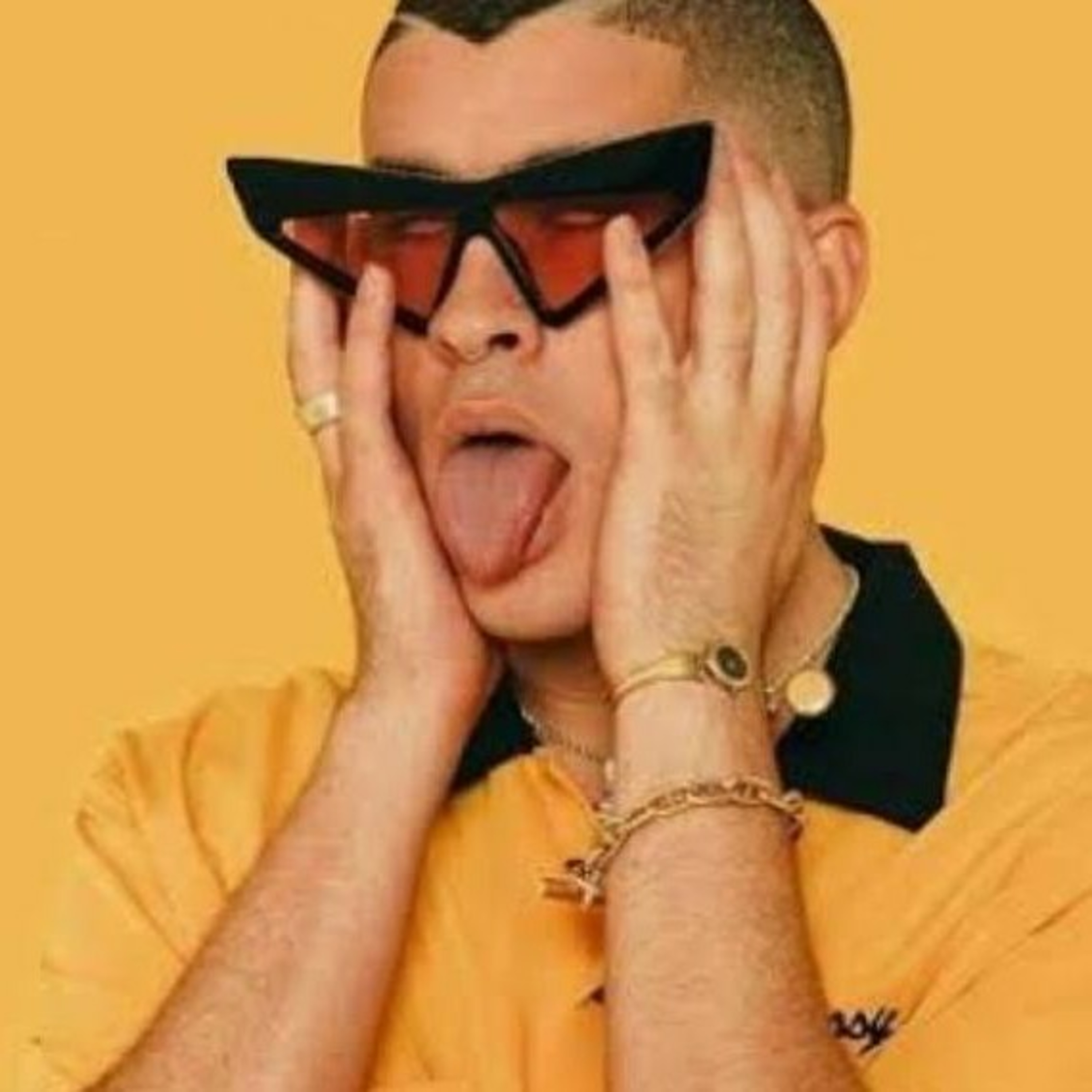 EscalonaPoetas en extinción