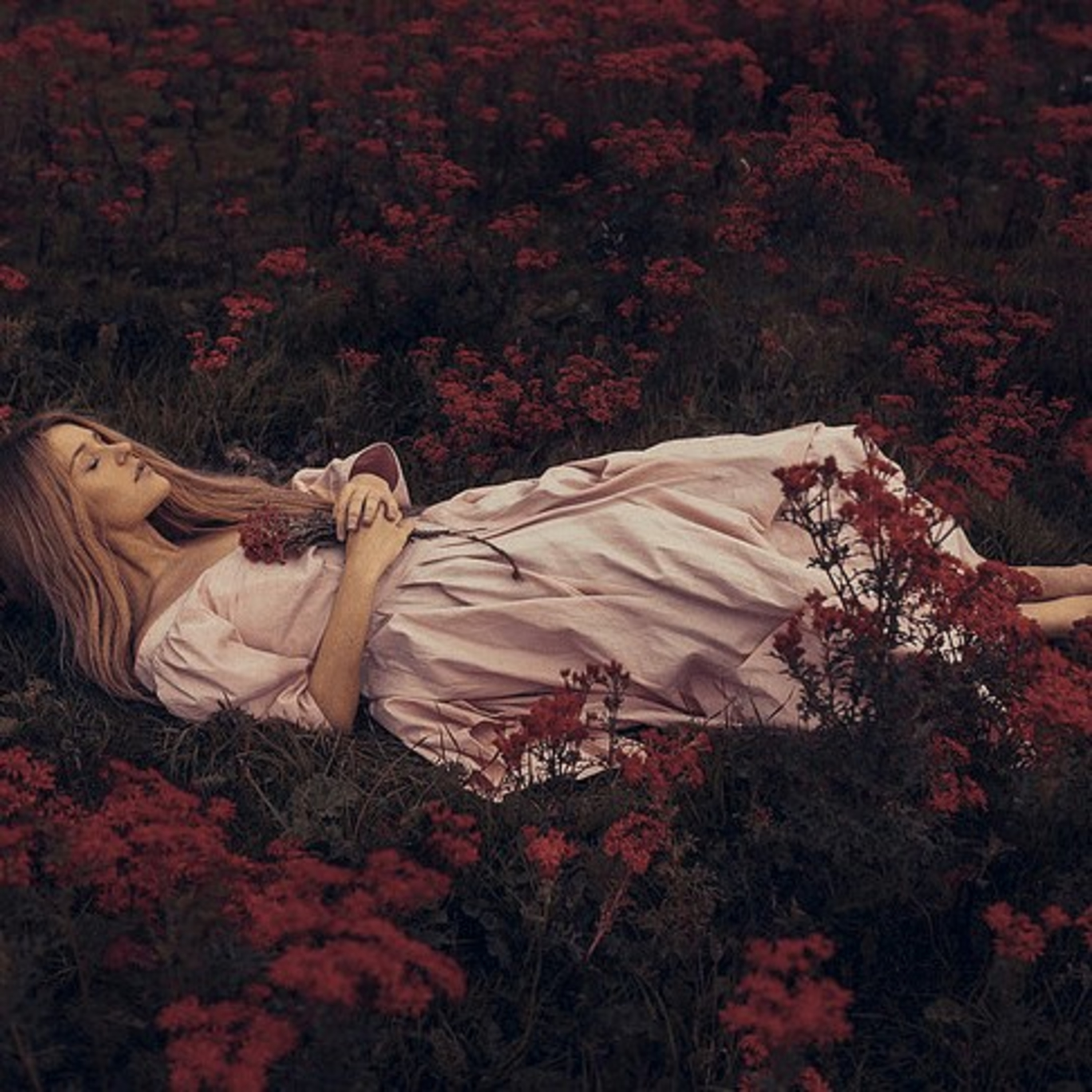 EscalonaPoetas en extinción