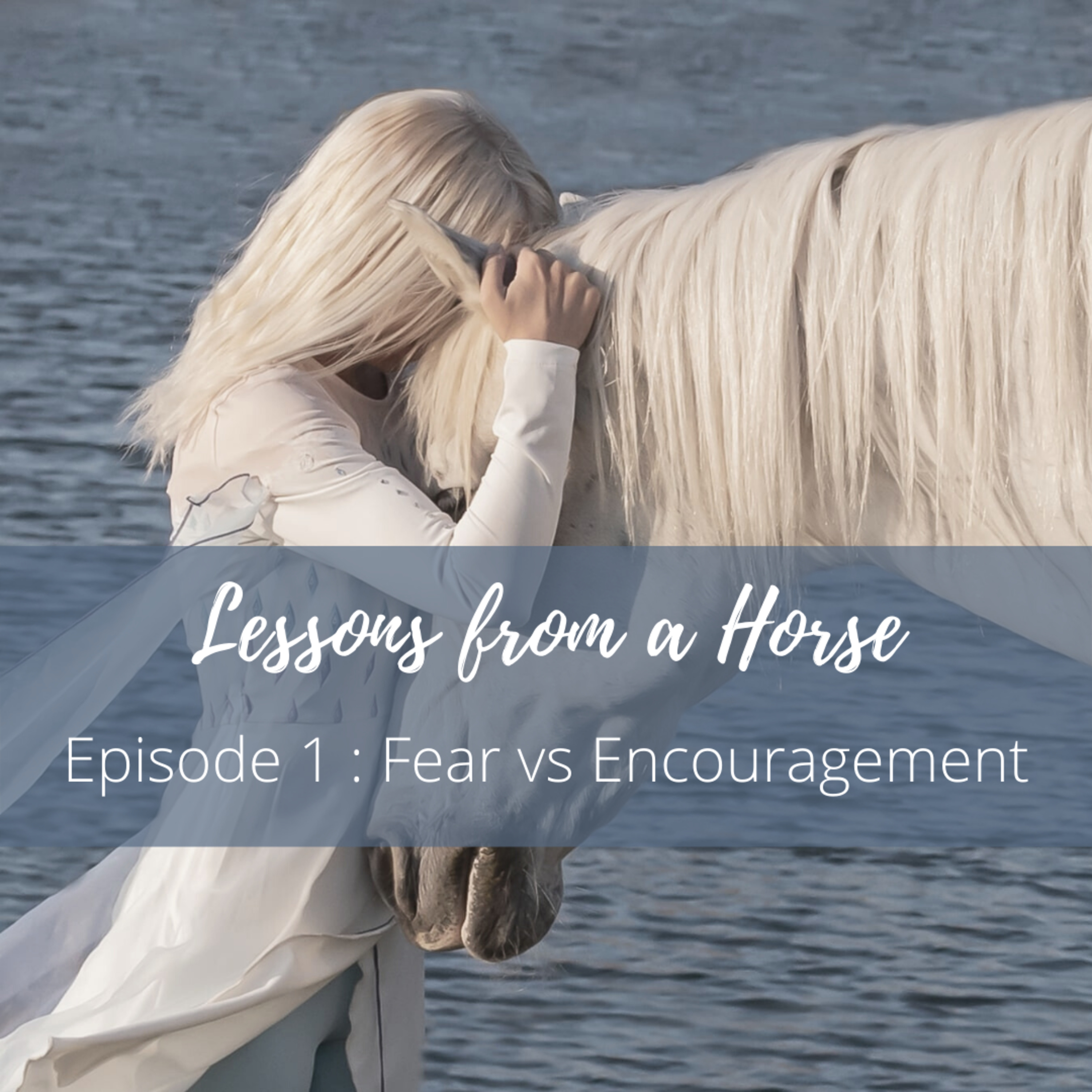 Lessons from a Horse
