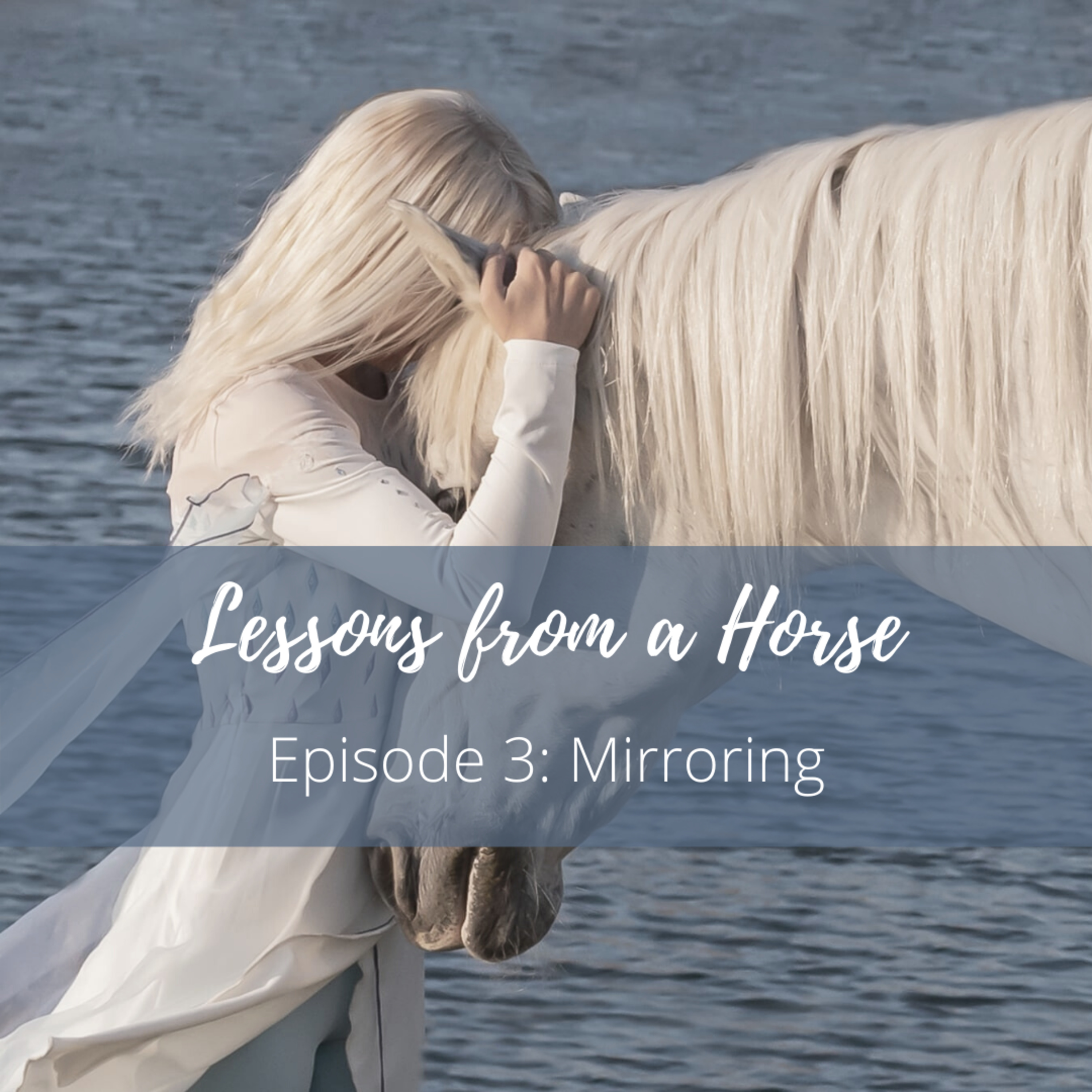 Lessons from a Horse