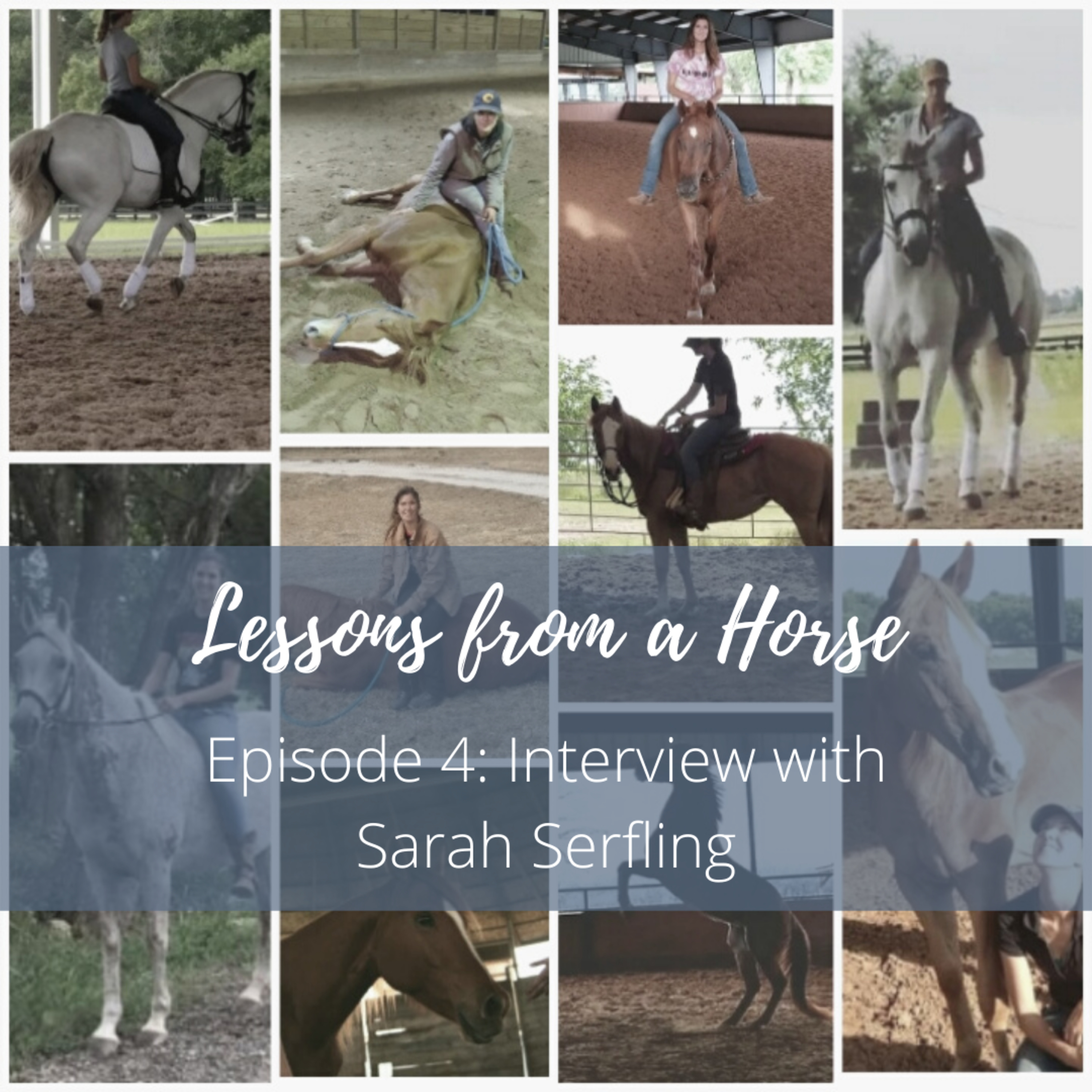 Lessons from a Horse