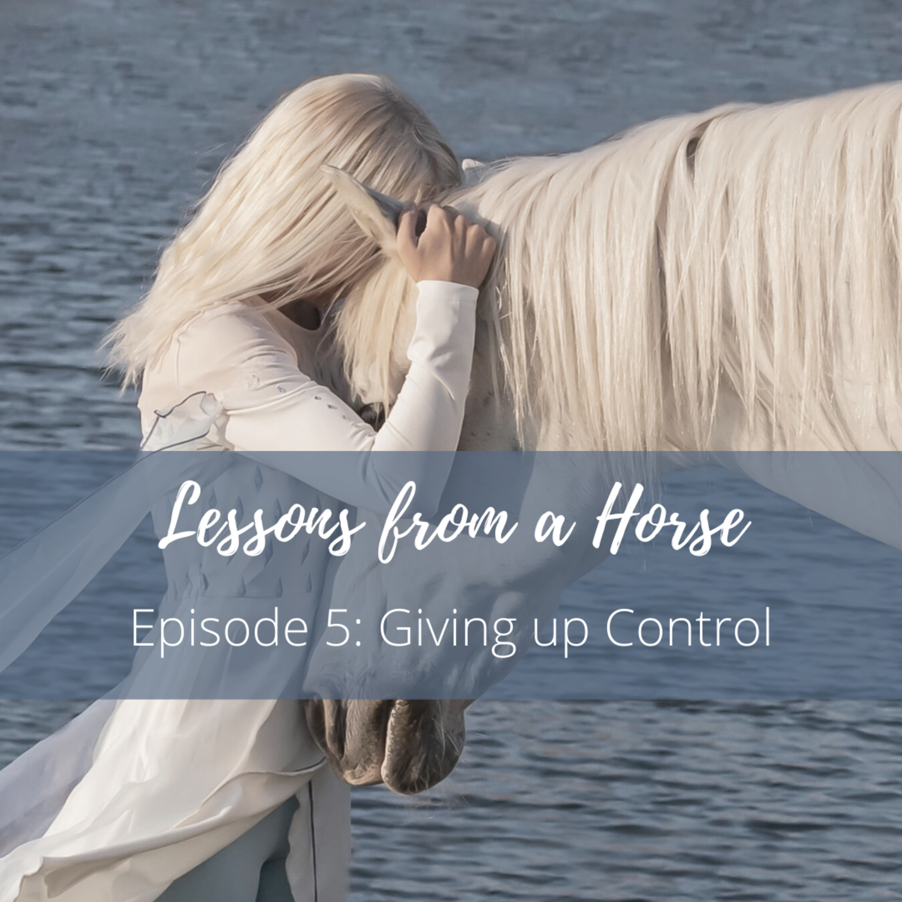 Lessons from a Horse