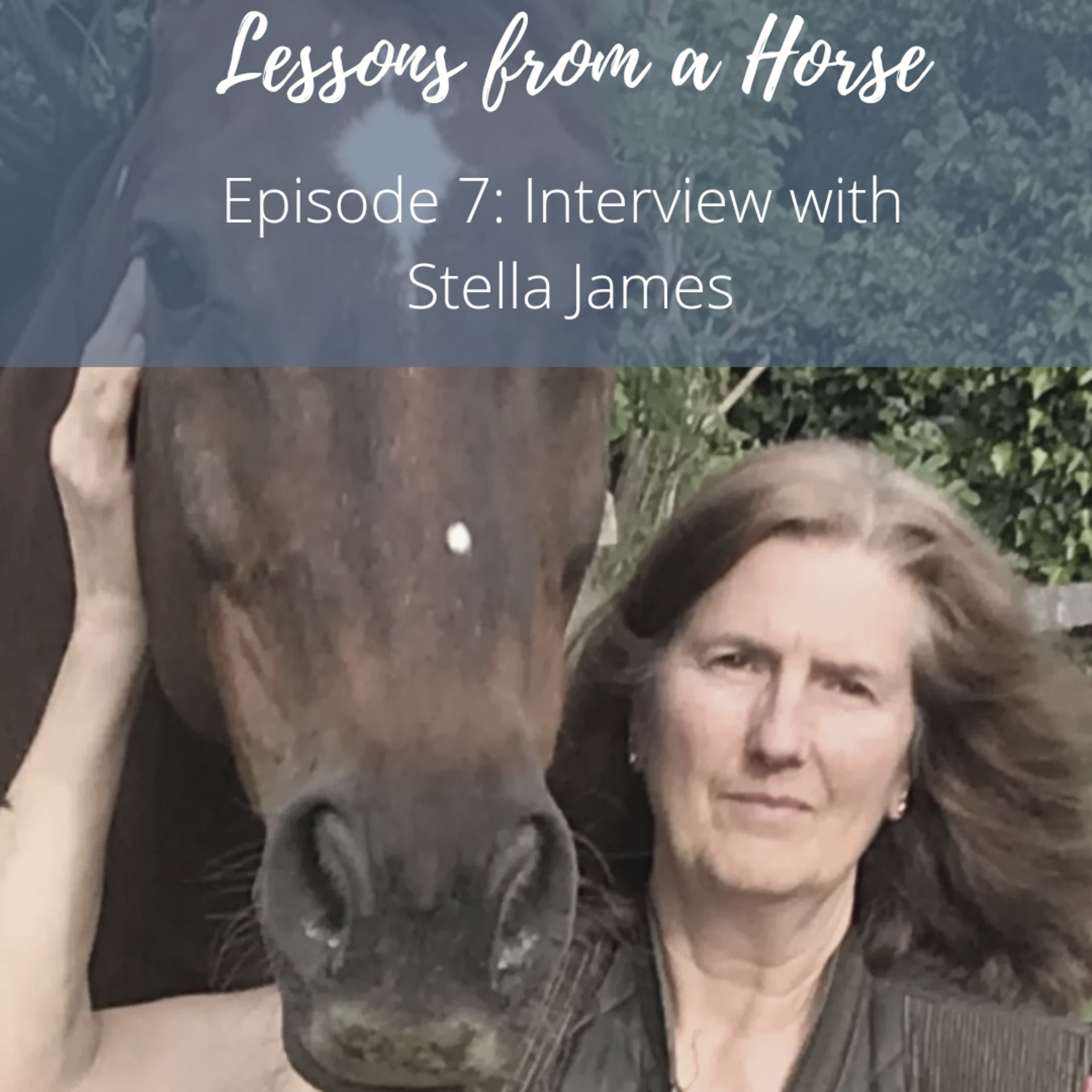 Lessons from a Horse