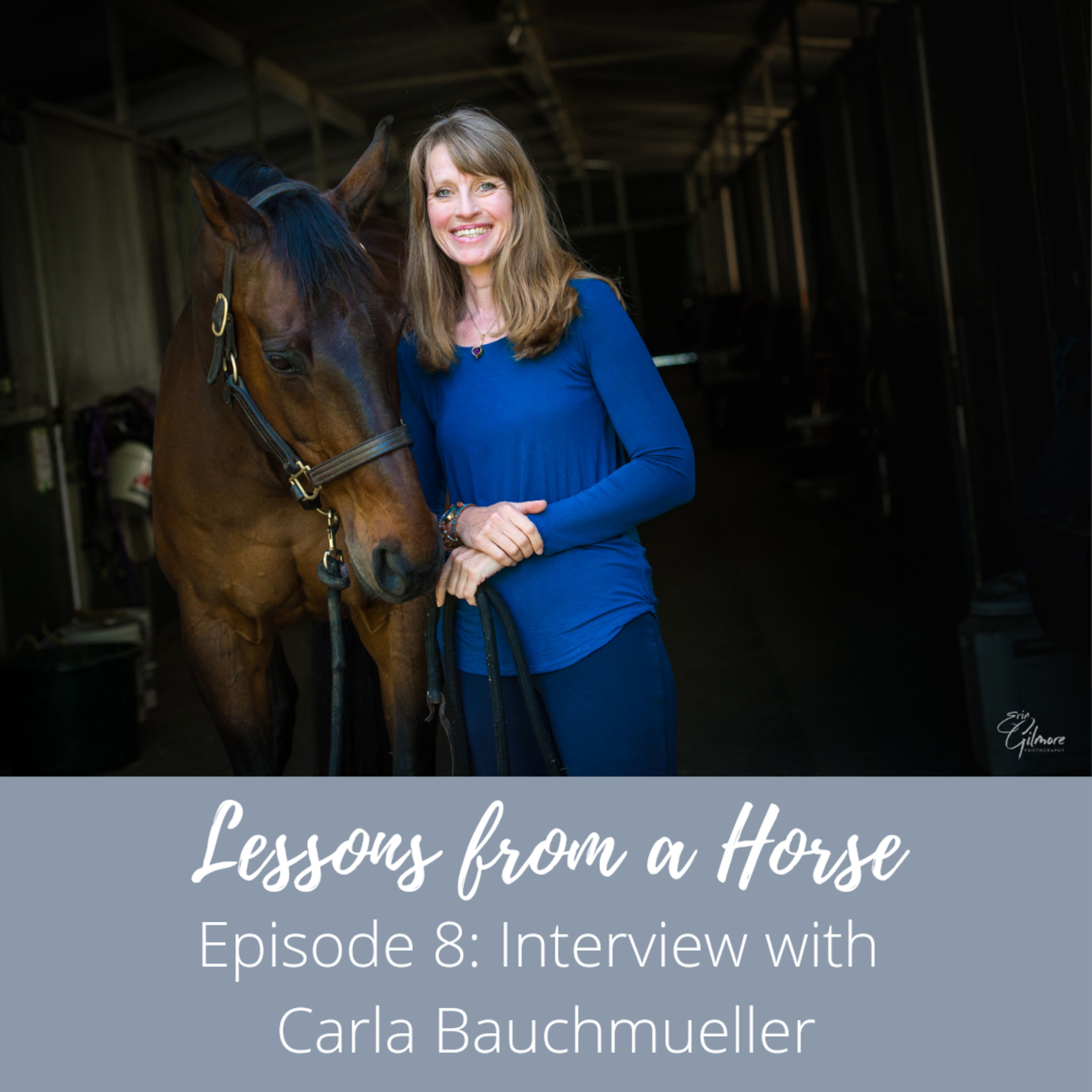 Lessons from a Horse