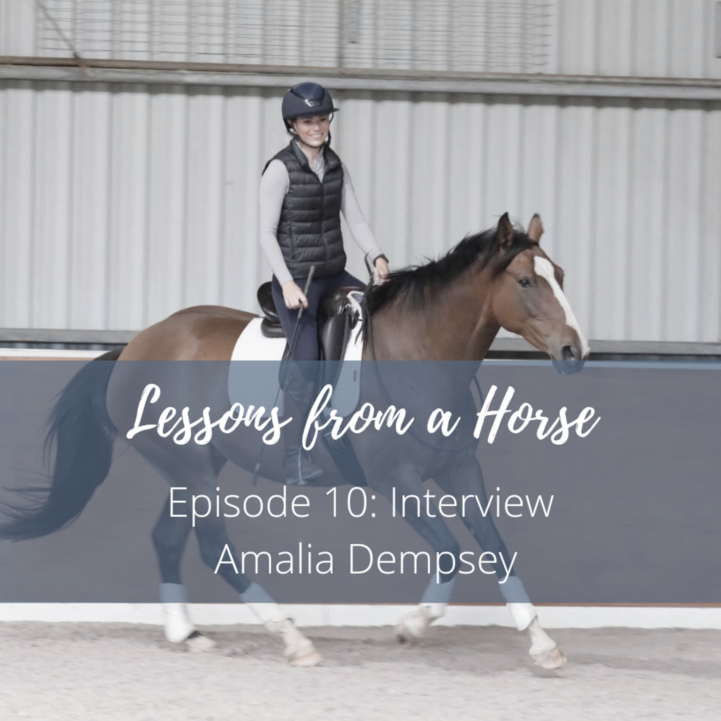 Lessons from a Horse