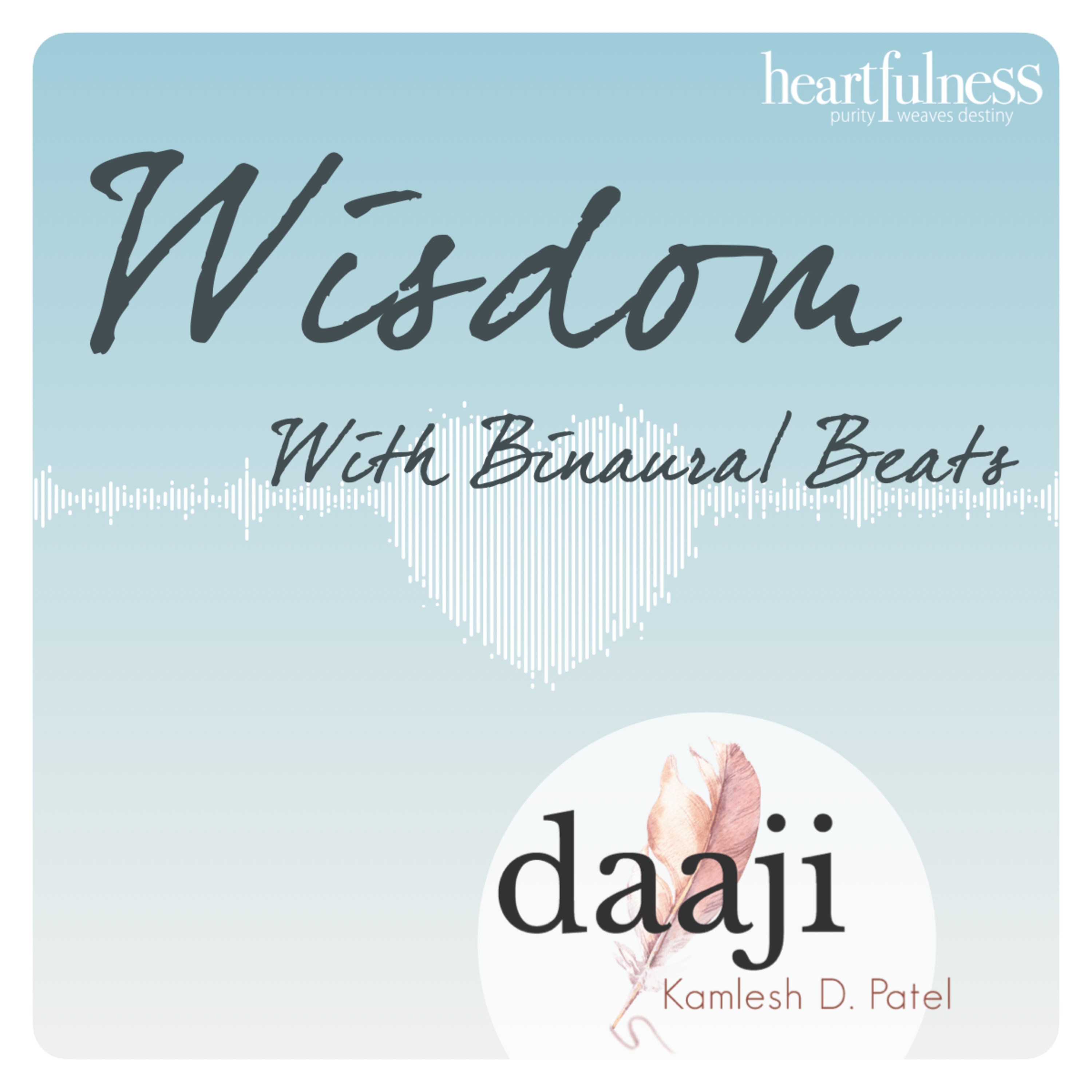 Insights from Daaji